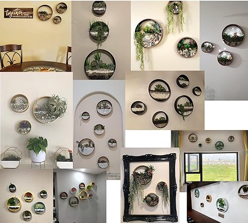 Miniatura 7 de VEVLU Juego de 3 macetas de pared, modernas macetas redondas de vidrio para suculentas, maceta circular colgante de hierro para hierbas, cactus