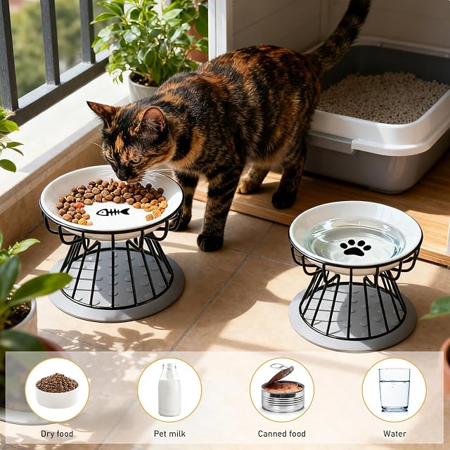 Foto 7 de 7 de 2 Cuencos Elevados para Gatos con Soporte de Metal, Comedero para Gatos