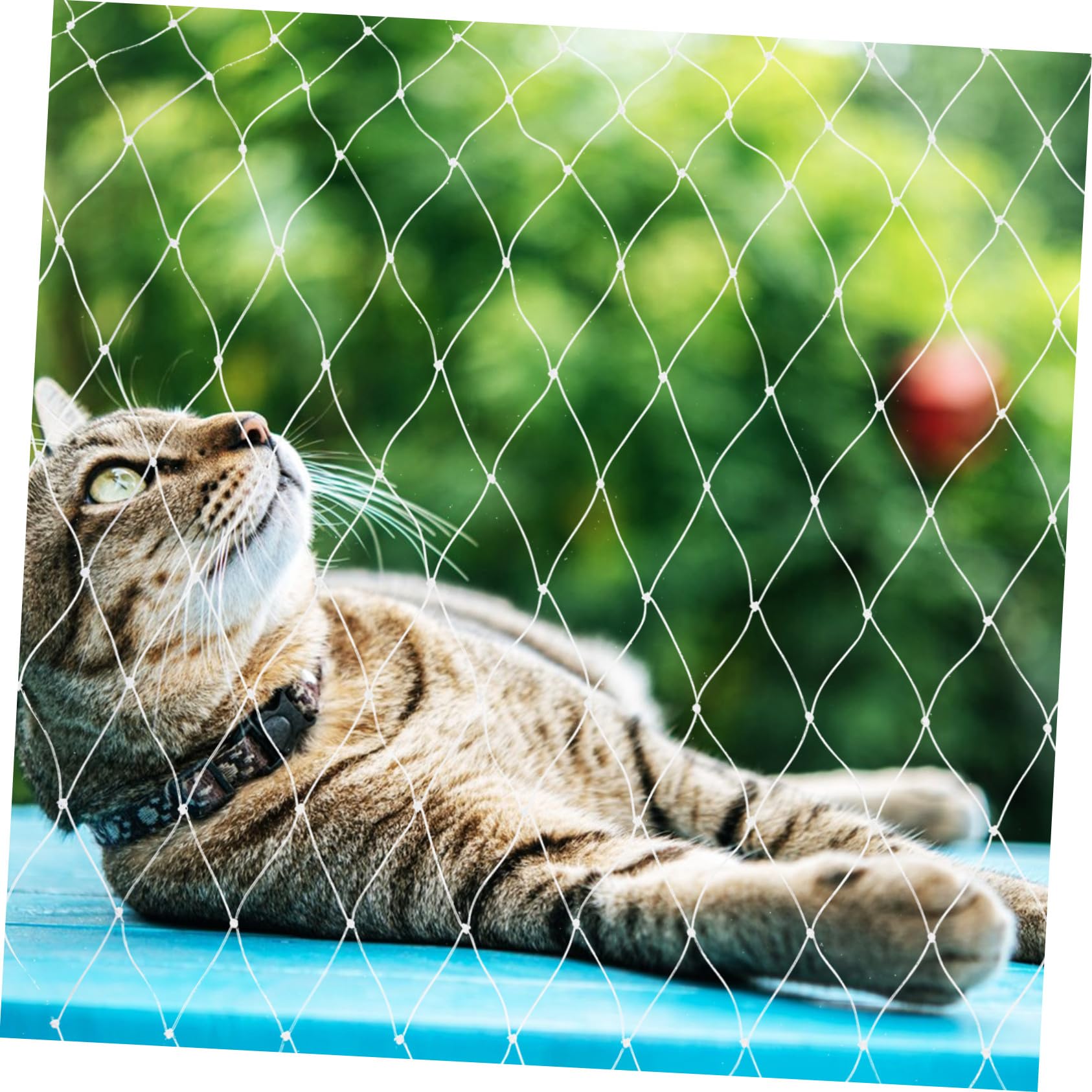 UPKOCH Katzenbalkonnetz aus Nylon für Absturzsicherung an Balkon Fenster und Treppe Kratzfest und Individuell Zuschneidbar