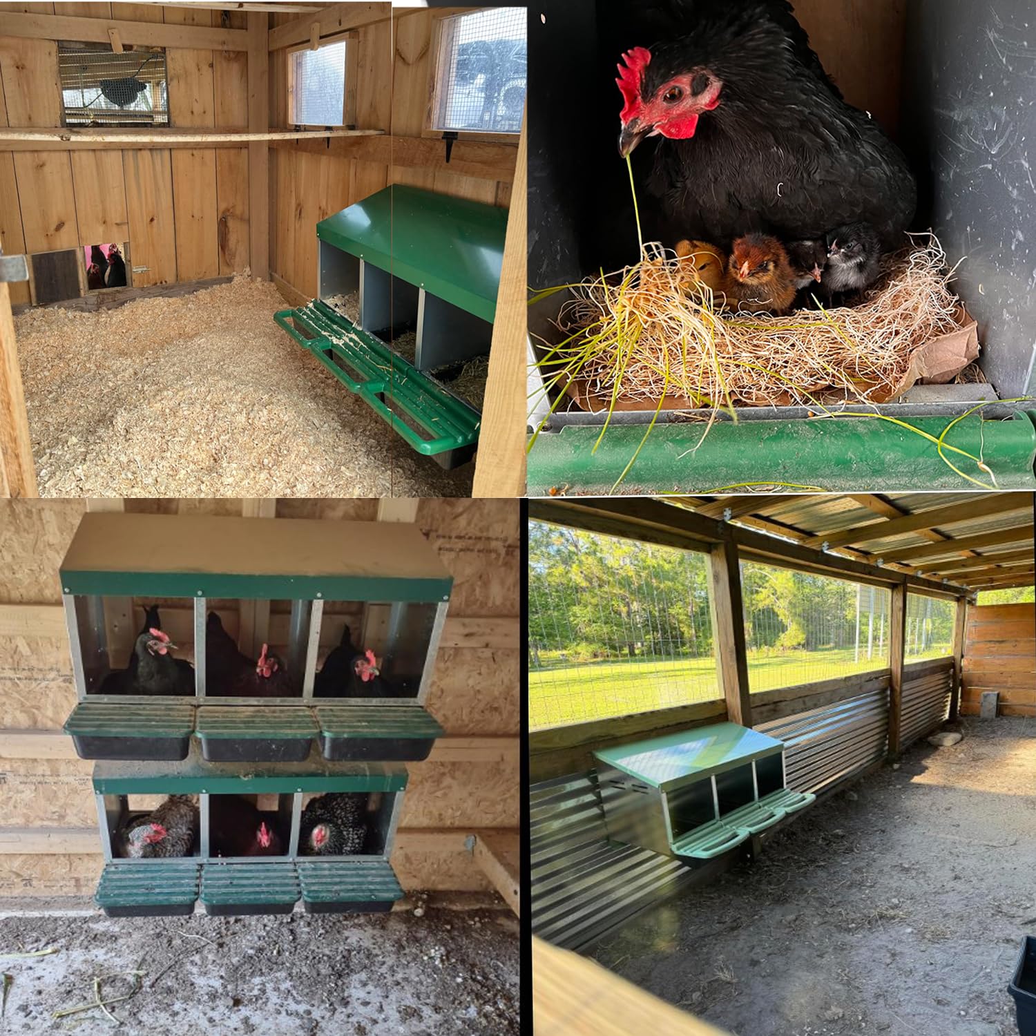 HEYOUTH Nido per Galline 3 Scomparti In Metallo, Gabbia Ovaiole, Massimo Ingombro 80x52x48 cm, Cassette di Incubazione per 15 Galline