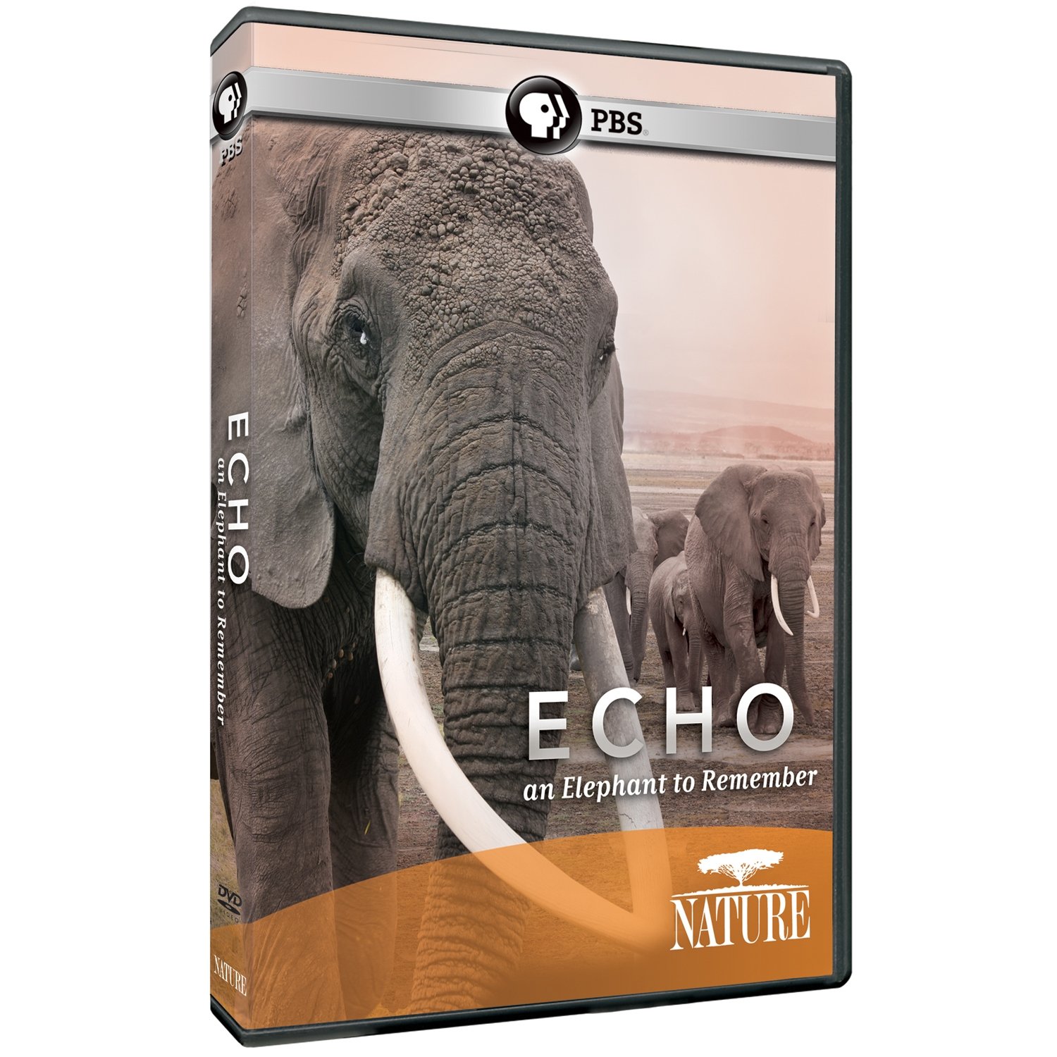 Echo: An Elephant to Remember [DVD]