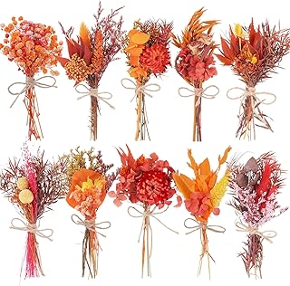 10 Pack Fall Decor Dried Flowers Bouquets Burnt Orange Flowers with Stem...