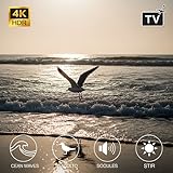 Ocean Waves & Seagull Calm 4K – Coastal Serenity Fire TV Screensaver