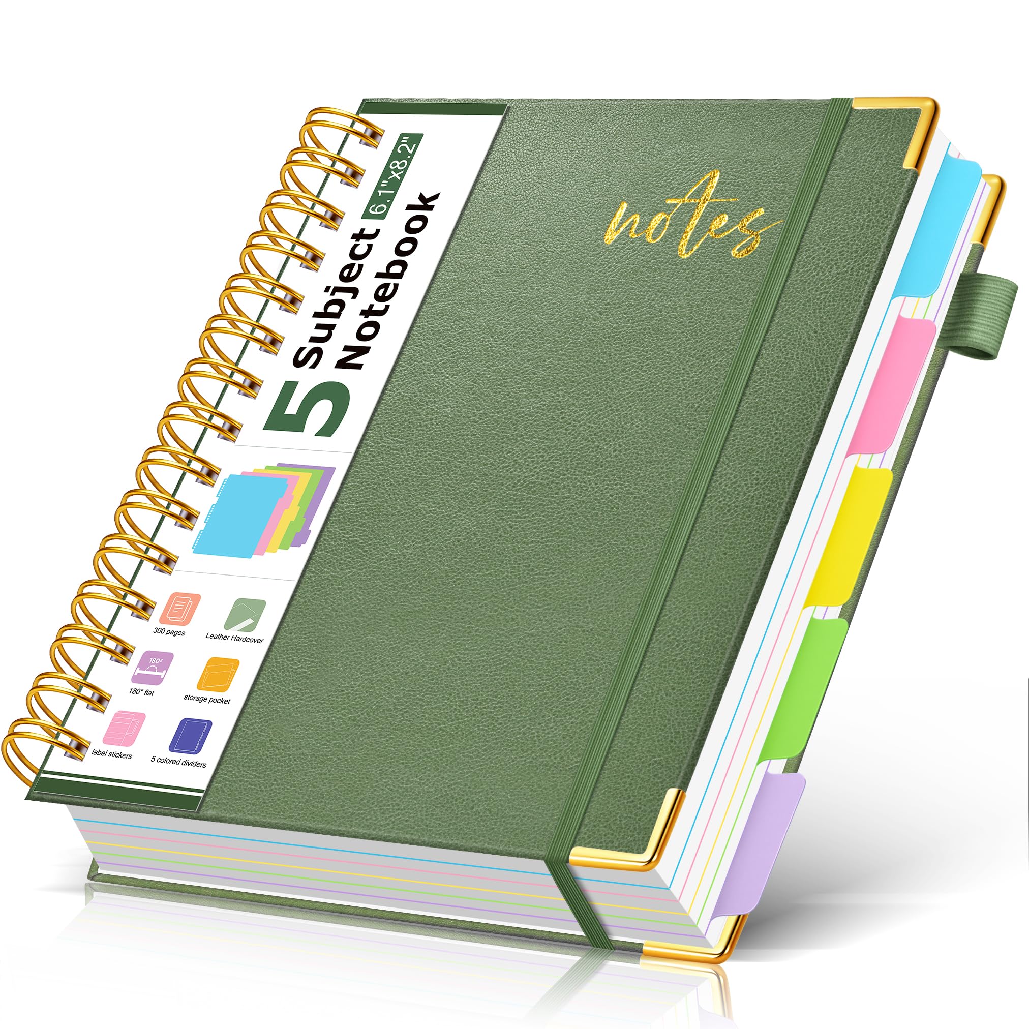 PAPEJOON Notizbuch mit 5 Fächern, liniert, A5, Salbei
