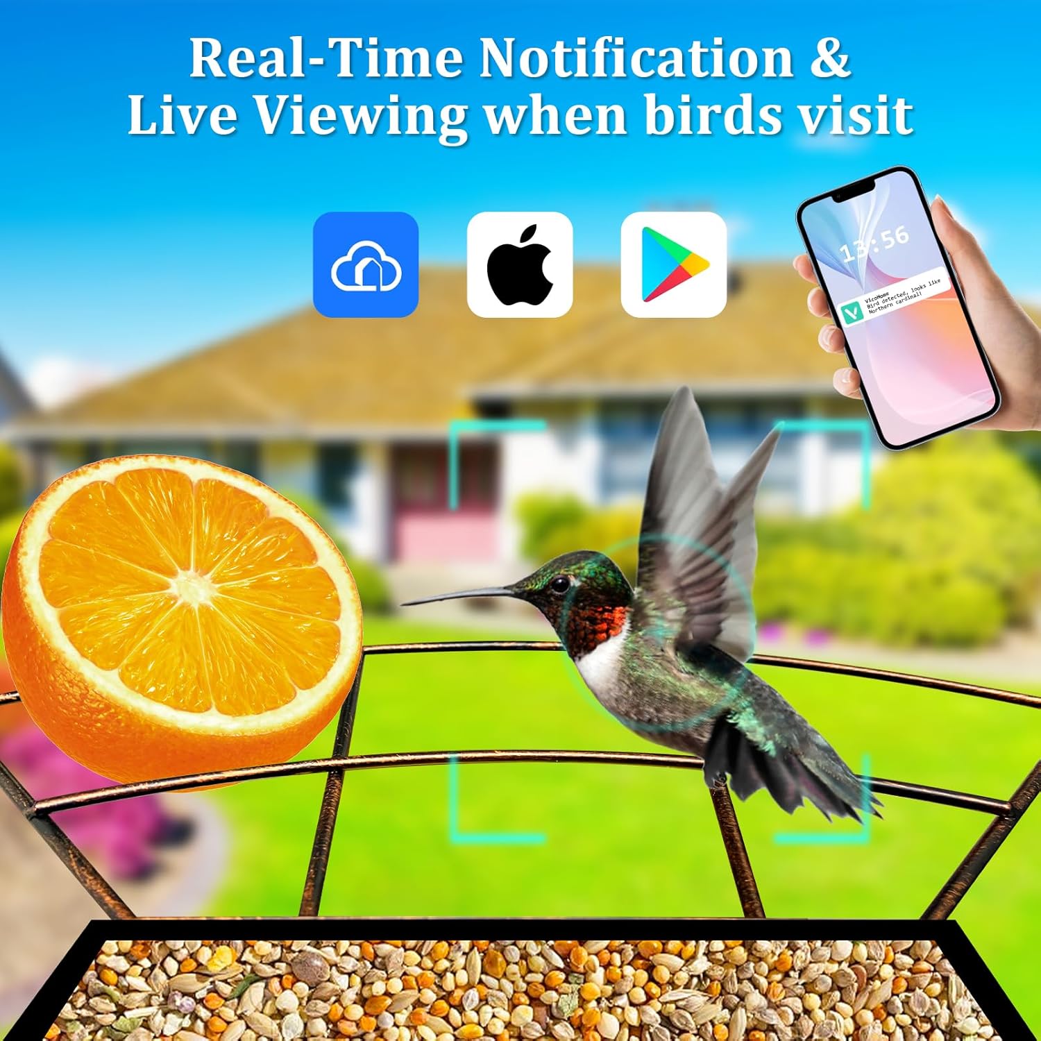 Smart Bird Feeder with Camera - AI Identify Birds, 1080P HD Auto Capture Videos, Instant Notification, Built-in Microphone, Solar Powered, Antique Gold