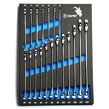 Capri Tools Combination Wrench Set with The Mechanic's Tray, Metric 6 to 24 mm, 19-Piece (CP11390MT)