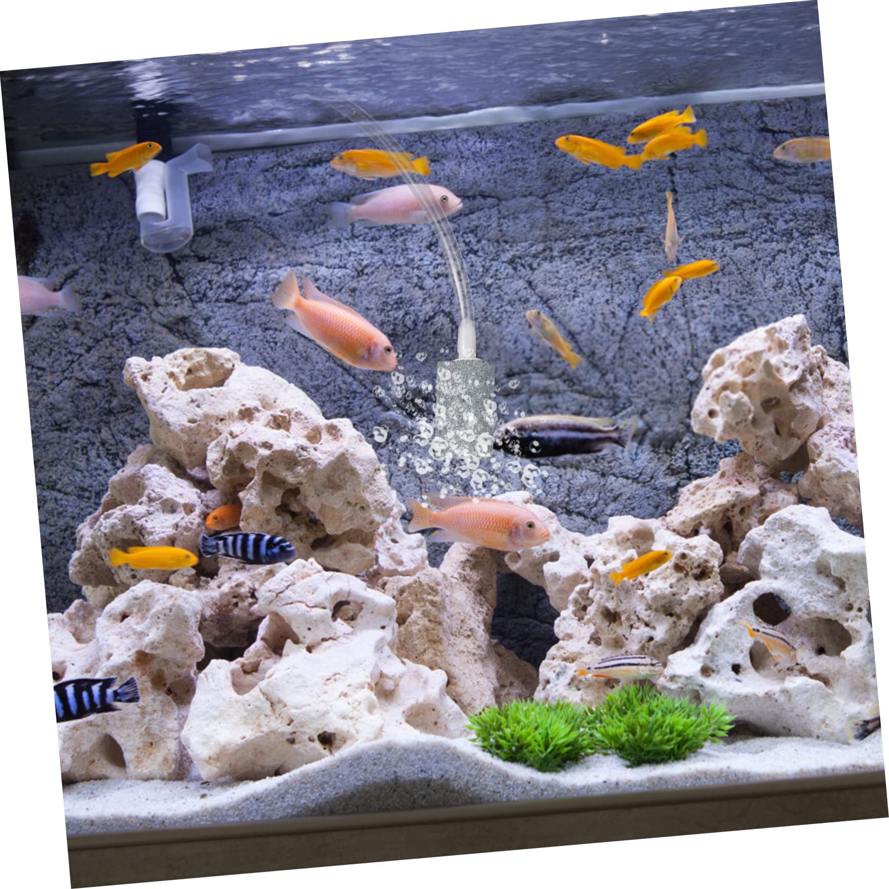 Toddmomy 3piezas Bomba De Aire USB para Acuario Compresor De Portátil Generador De Burbujas Silencioso para Tanques De Peces y Plantas Compacto y Oxigenación
