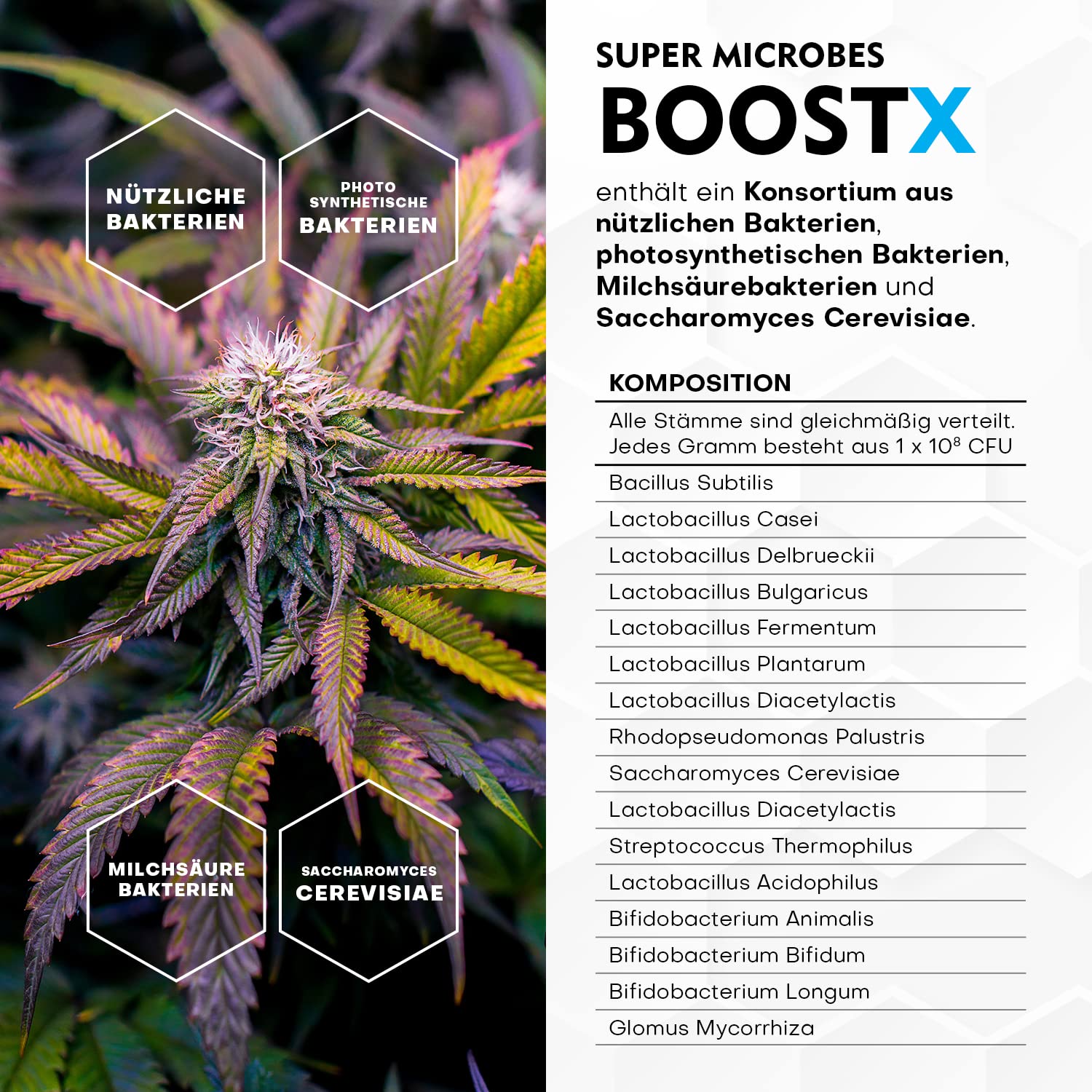 BoostX - Fertilizzante per piante verdi premium | Appositamente formulato per piante da fiore e in erba | Contiene 16 microbi benefici inclusi i batteri che fissano l'azoto 400g