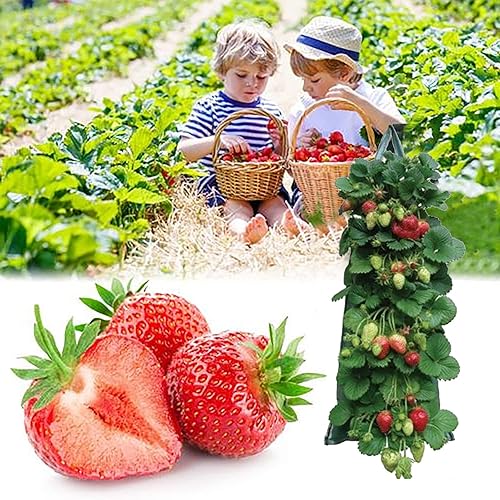 Miniatura 8 de Bolsas colgantes de fresas  Macetero de tomate para patio y jardín al revés  Bolsas colgantes de tela de aireación para fresas, resistente para