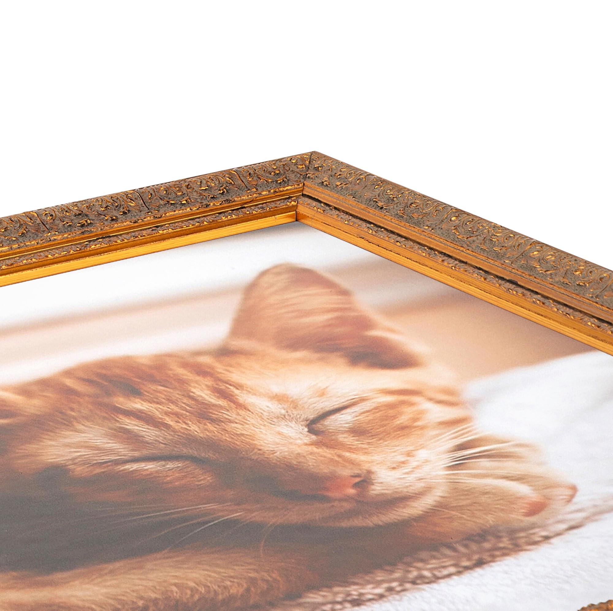 Amazon.co.jp: ArtToFrames 24 x 35インチ マルチ写真フレーム
