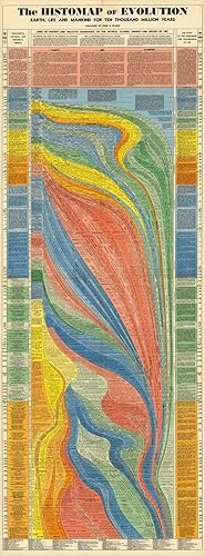 Histomap of Evolution Timeline Poster Chart - Gifts for Researchers - Visual Map Graph - Classroom Must Haves Decorations - Teacher Gifts -