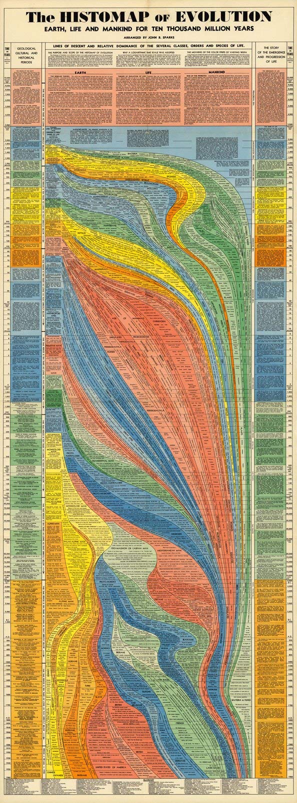 Histomap of Evolution Timeline Poster Chart - Gifts for Researchers - Visual Map Graph - Classroom Must Haves Decorations - Teacher Gifts - Educational Learning Homeschooling Paleontology (23x62)