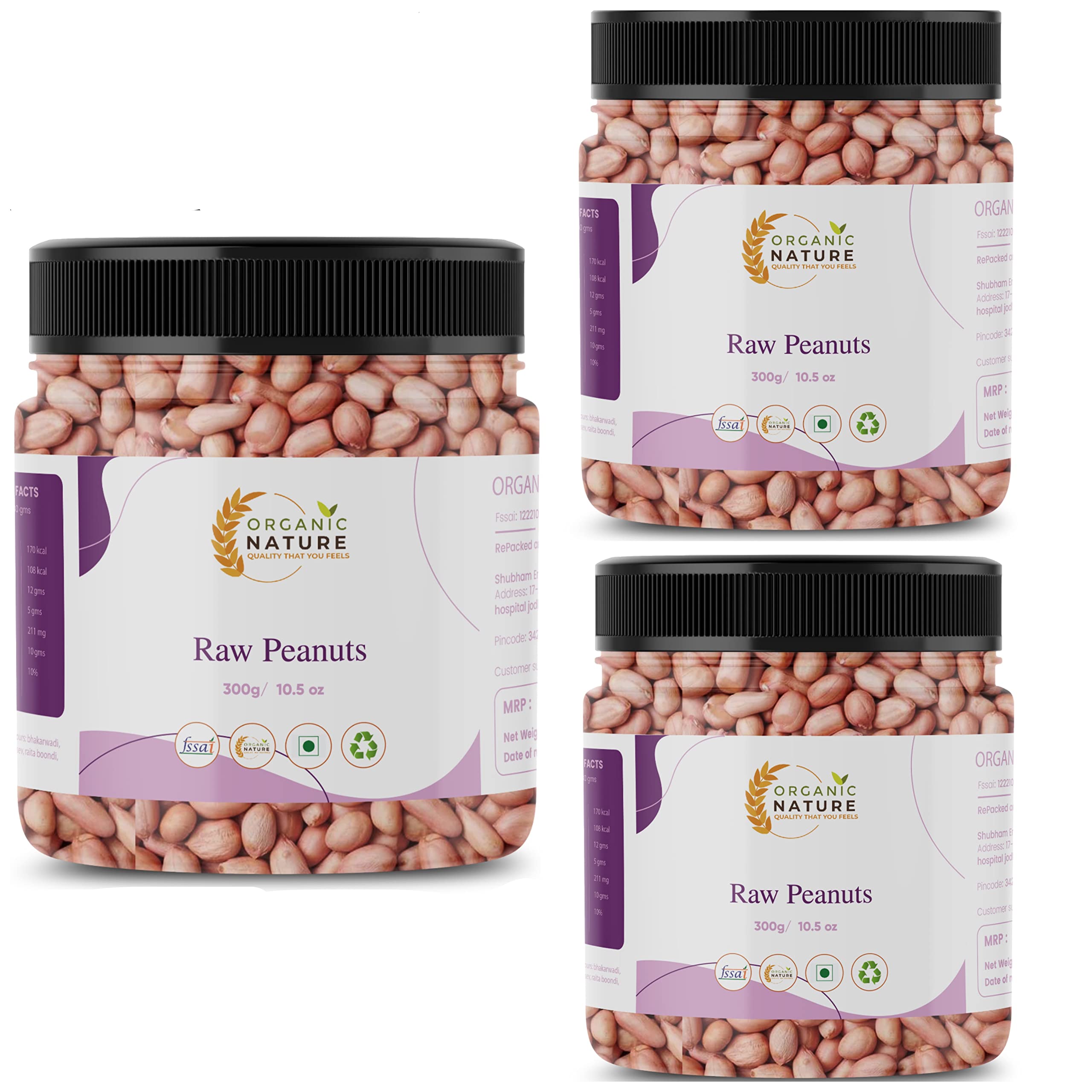 ORGANIC NATURE Raw Peanuts Jumbo Size Raw Peanut Desi Singdana Pack of 3 of 250 Grams Total 750 Grams Whole Groundnut Mungfalli dana Pure Sabut Mungfalli Jar Pack