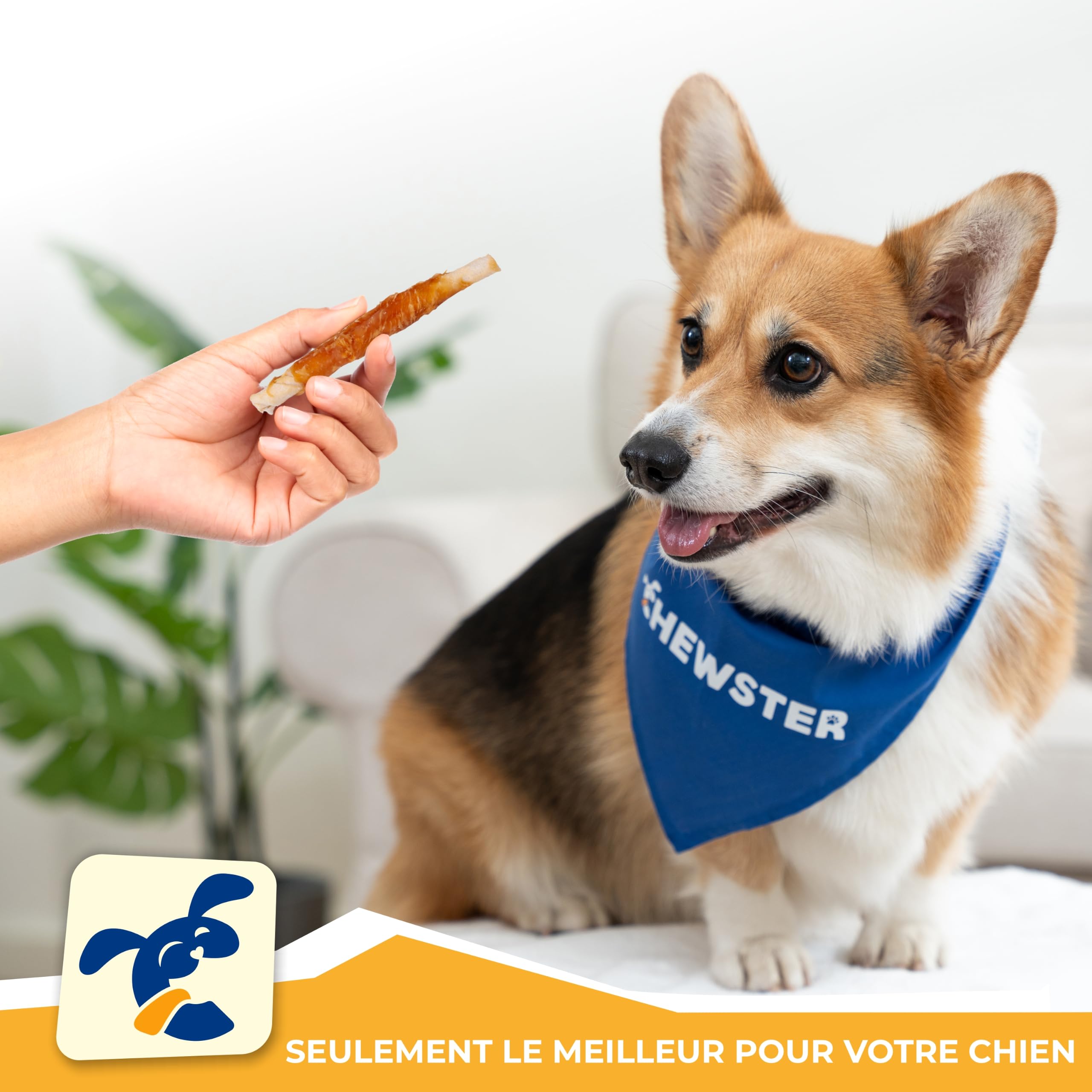Bâtonnets à mâcher au Poulet - Friandises pour Chien - 800 g | 85 rouleaux à mâcher pour chiens - Friandises pour chien