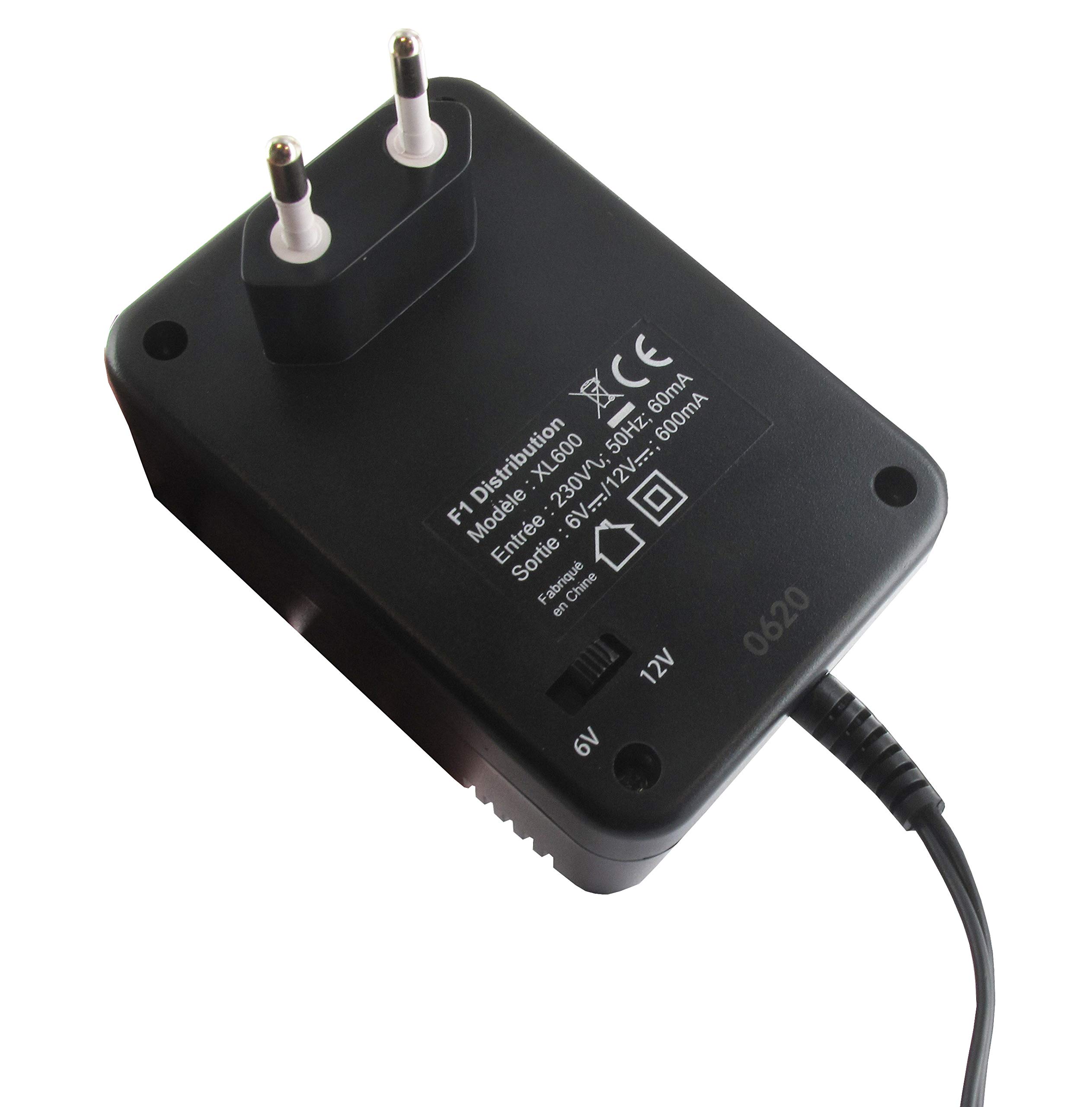 GREENSTAR - Chargeur Automatique EXCEL' CHARGE - Pour Batteries Plomb/Acide 5-32Ah 6V/12V - Avec Pinces Crocodiles - Tension Secteur 220-240V - Ampérage 0.6A - Dimensions 0.130m x 0.100m x 0.075m