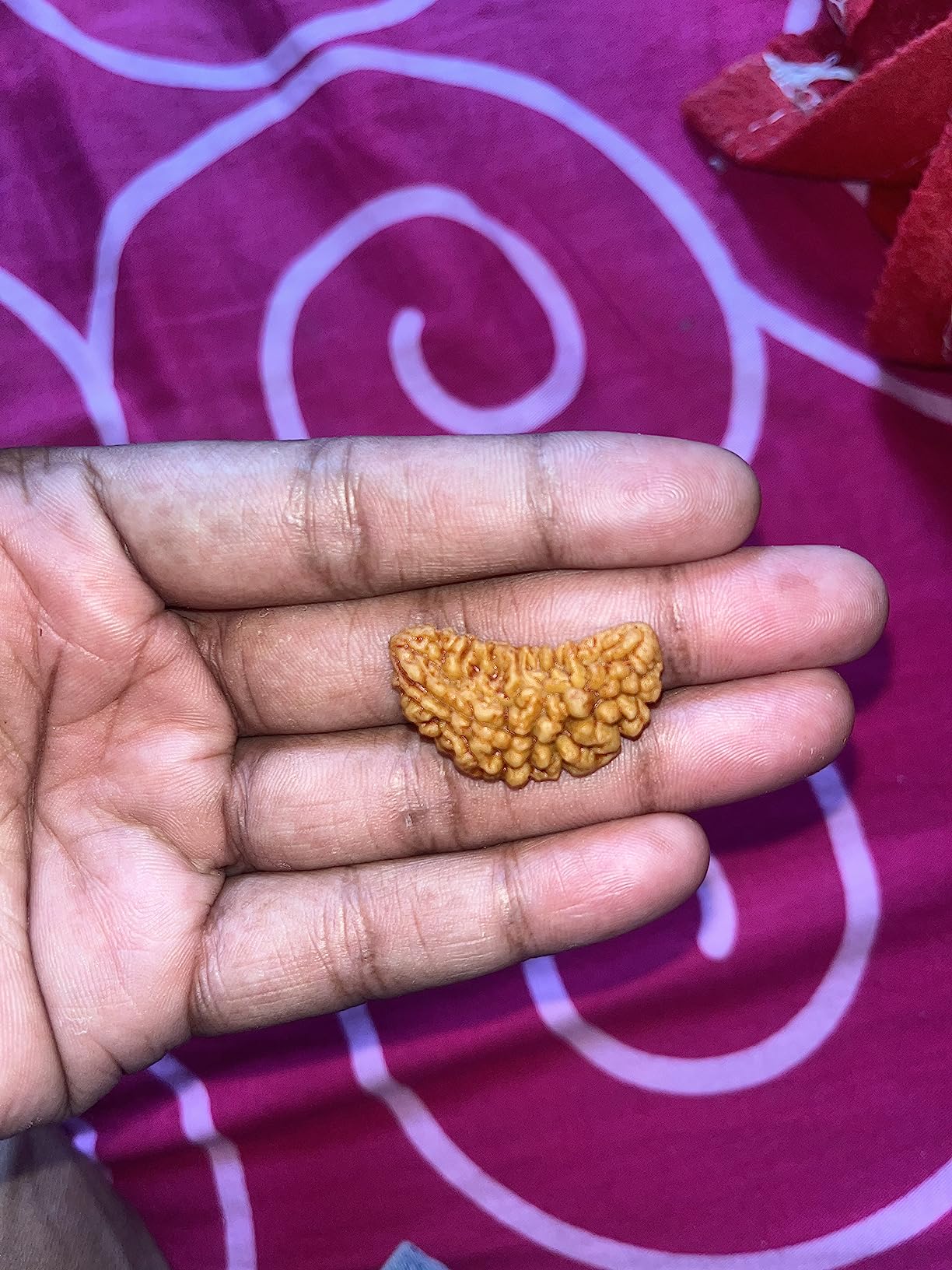 ADI Jewels 1 Mukhi Kaju Dana Rudraksha Nepali Natural Half Moon Shaped ...