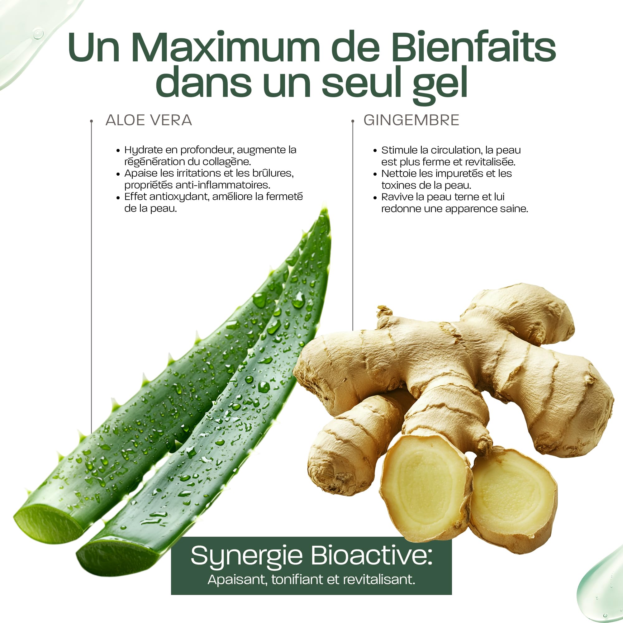 Gel Aloe Vera & Gingembre – Soin Naturel à Base de Feuille Fraîche – Hydratant, Tonifiant & Raffermissant – Visage, Corps, Cheveux – Après-Soleil, Jambes Lourdes – Aloe Écologique (5000)