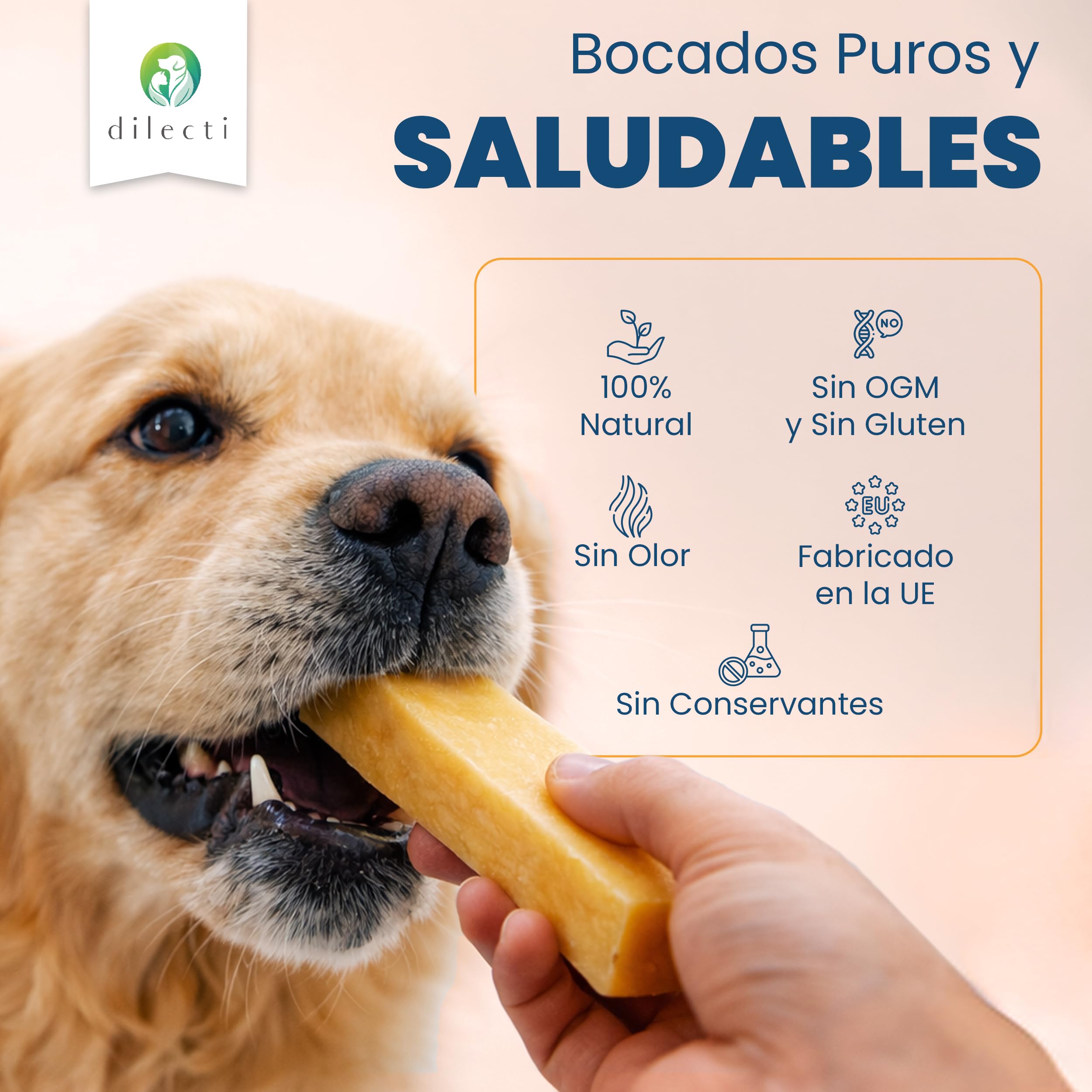 Huesos de Queso Naturales - Los Masticables Naturales Muy Sabrosos, Duros y Duraderos Mantendrán a su Perro Ocupado Durante un Tiempo. (Talla XL, Juego de 3)
