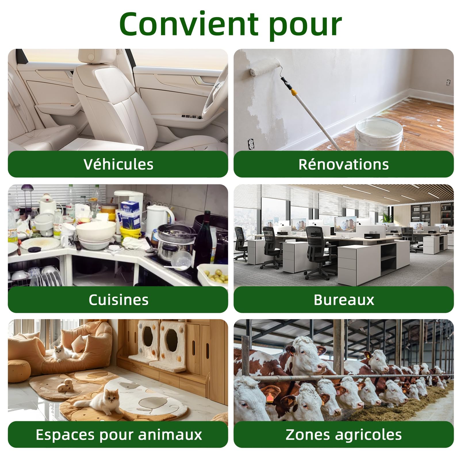 Générateur d’Ozone 60000 mg/h, jusqu’à 300 m²
