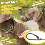 Fida Durable Slip Lead, 6 FT x 1/2" Heavy Duty Loop Leash, Comfortable Strong Rope for Large, Medium Dogs, No Pull Pet Training with Highly Reflective, Green