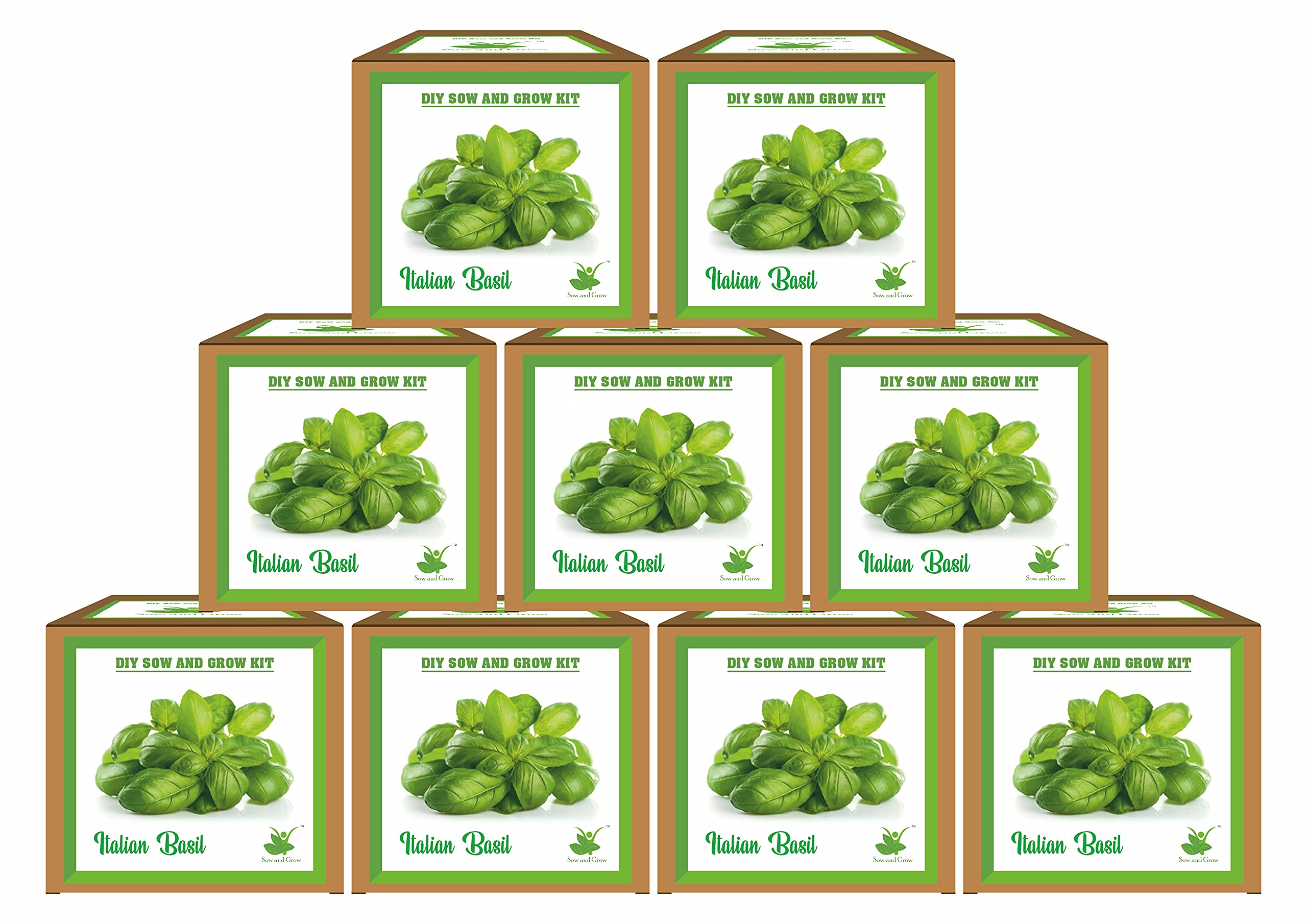 Sow and Grow Mini Italian Basil Grow Kits – Set of 9 | Eco-Friendly DIY Gardening Gift Pack for Kids & Adults | Return Gift Ideas | Easy-to-Grow Herb Kit for Kitchen & Balcony Gardening