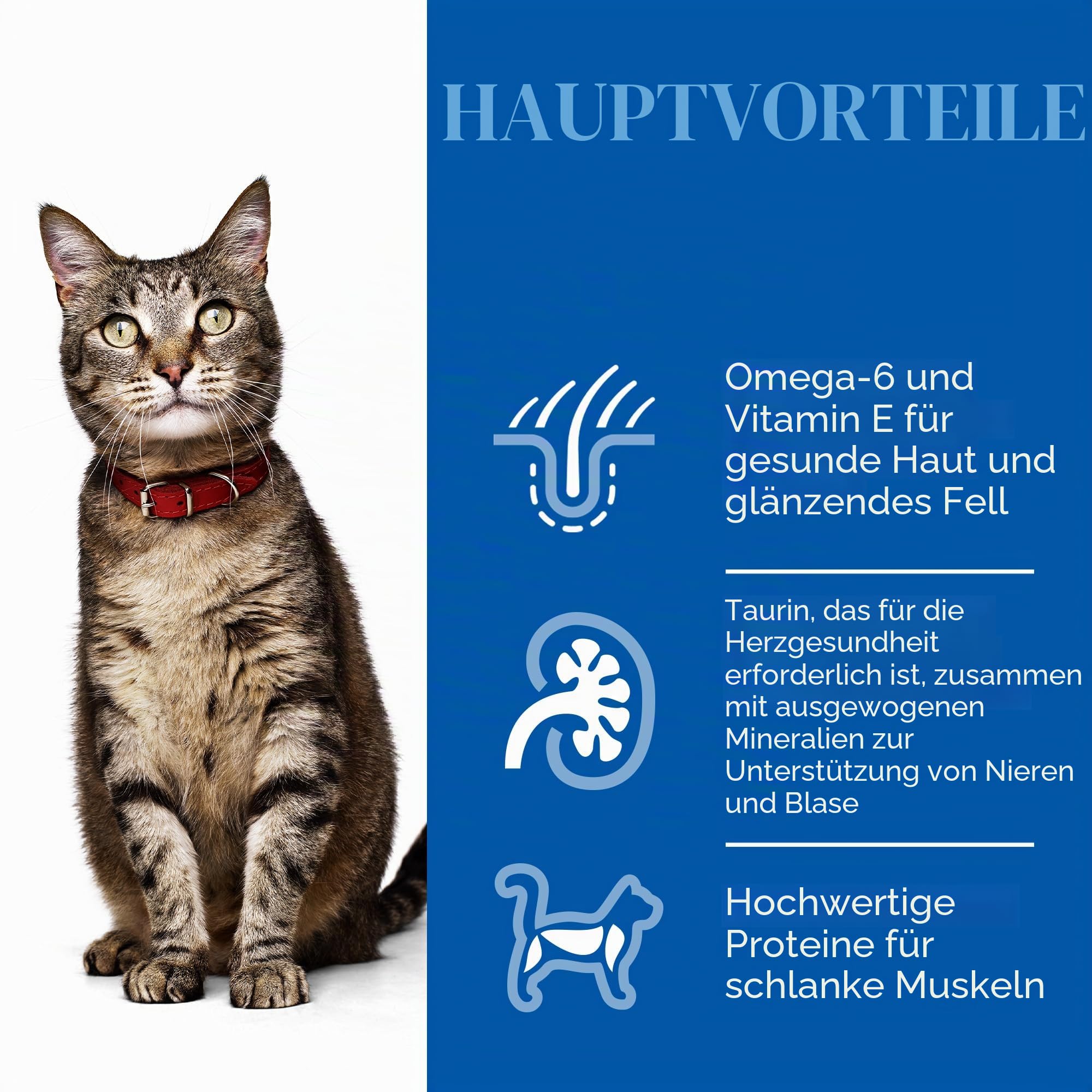 Hill's Feline Adult Kip 3 kg