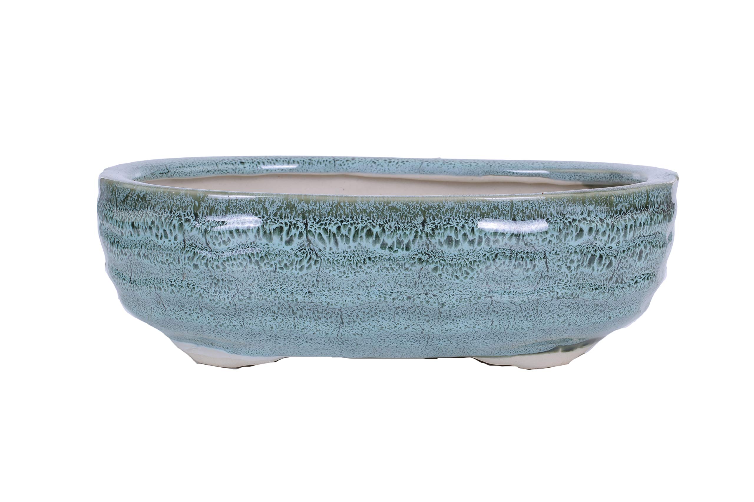 green paradise Ceramic pot for bonsai trees succulents fairy gardens and miniature gardens bonsai planter size 10 oval shape (B08W225445) Amazon Price History, Amazon Price Tracker