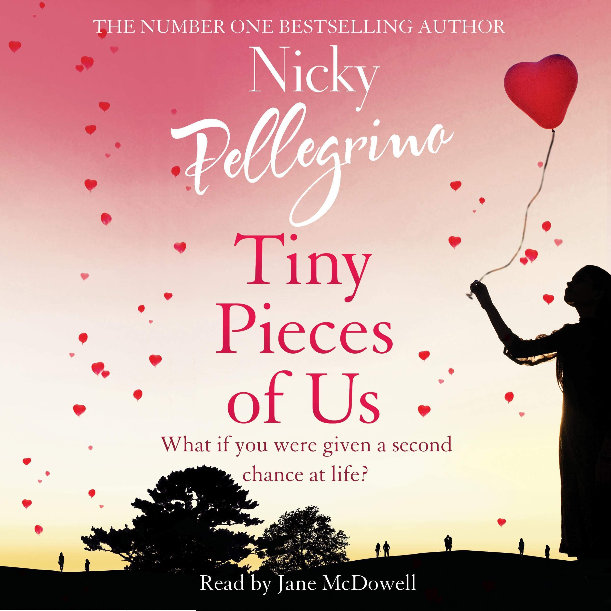 Cover art for Tiny Pieces of Us