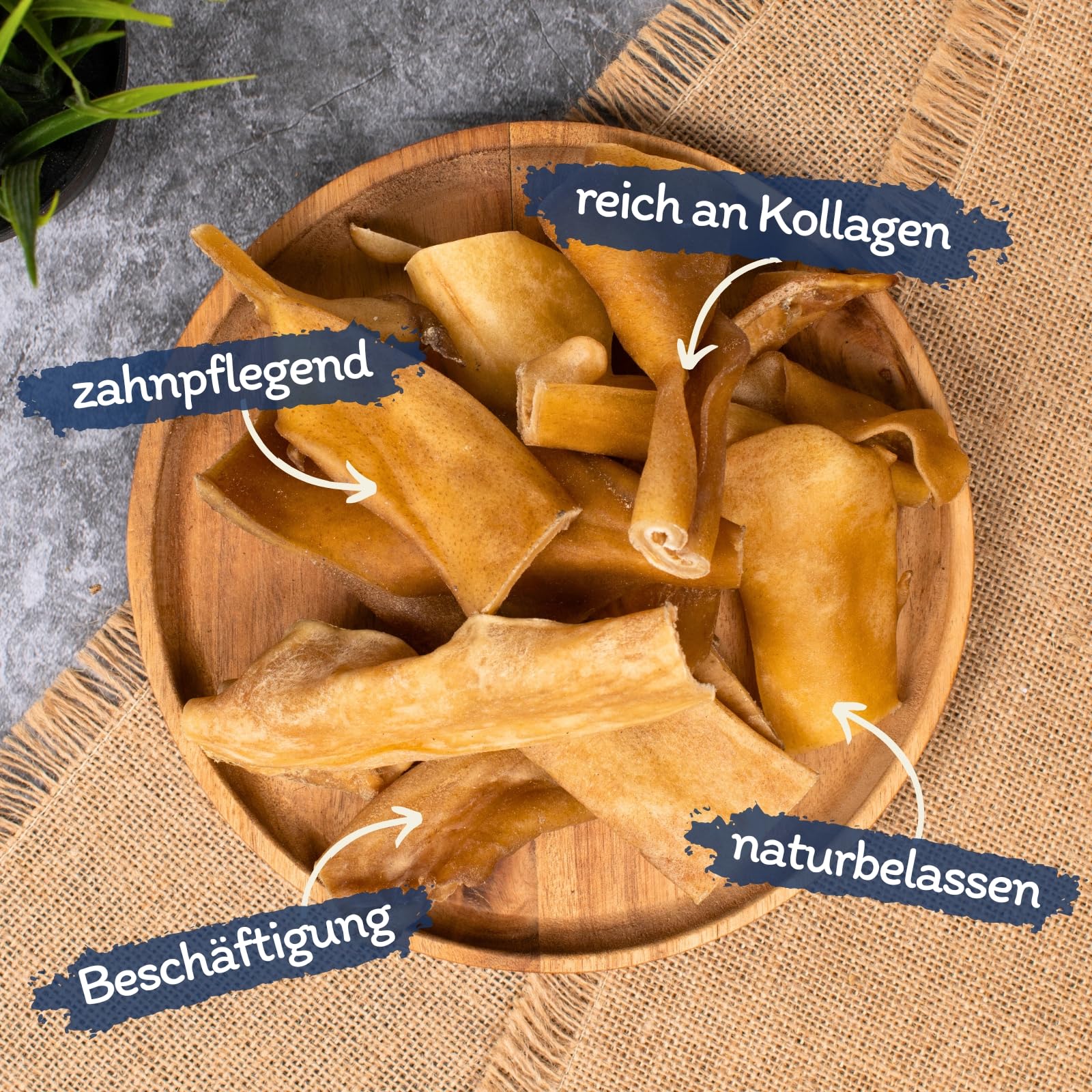 Lyra Pet® 5 kg Peau de tête de bœuf Claire séchée, friandise Chien | Snack à mâcher naturel au bœuf | Riche en protéines | Texture dure & résistante | Pauvre en graisses & digeste