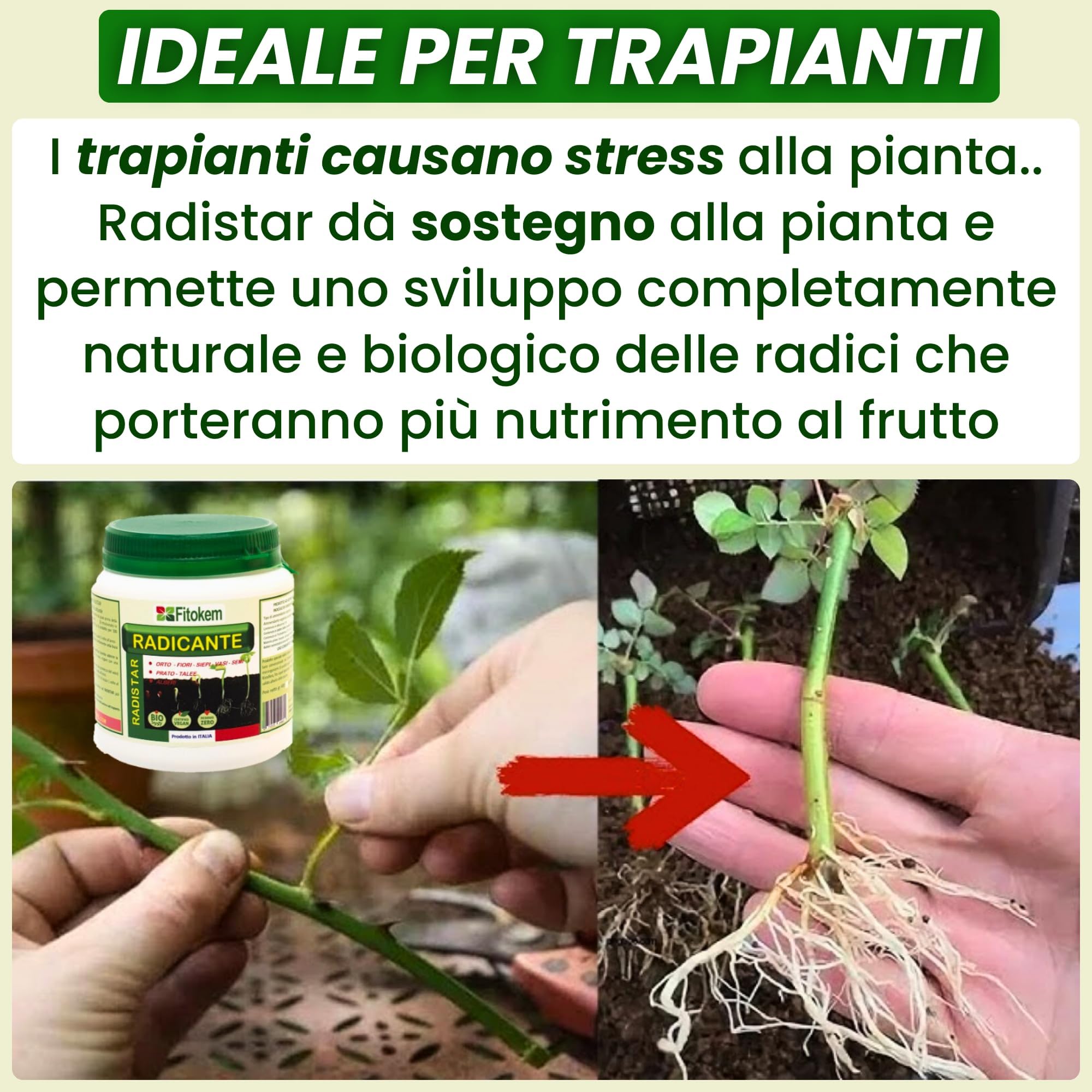 Ormoni Radicanti Liquidi Per Talee | Soluzione Liquida Per Il Radicamento Delle Piante Da 50 Ml | Fertilizzante Liquido Per La Radicazione Da 3 Pezzi Per Una Crescita Rapida E Forte Delle