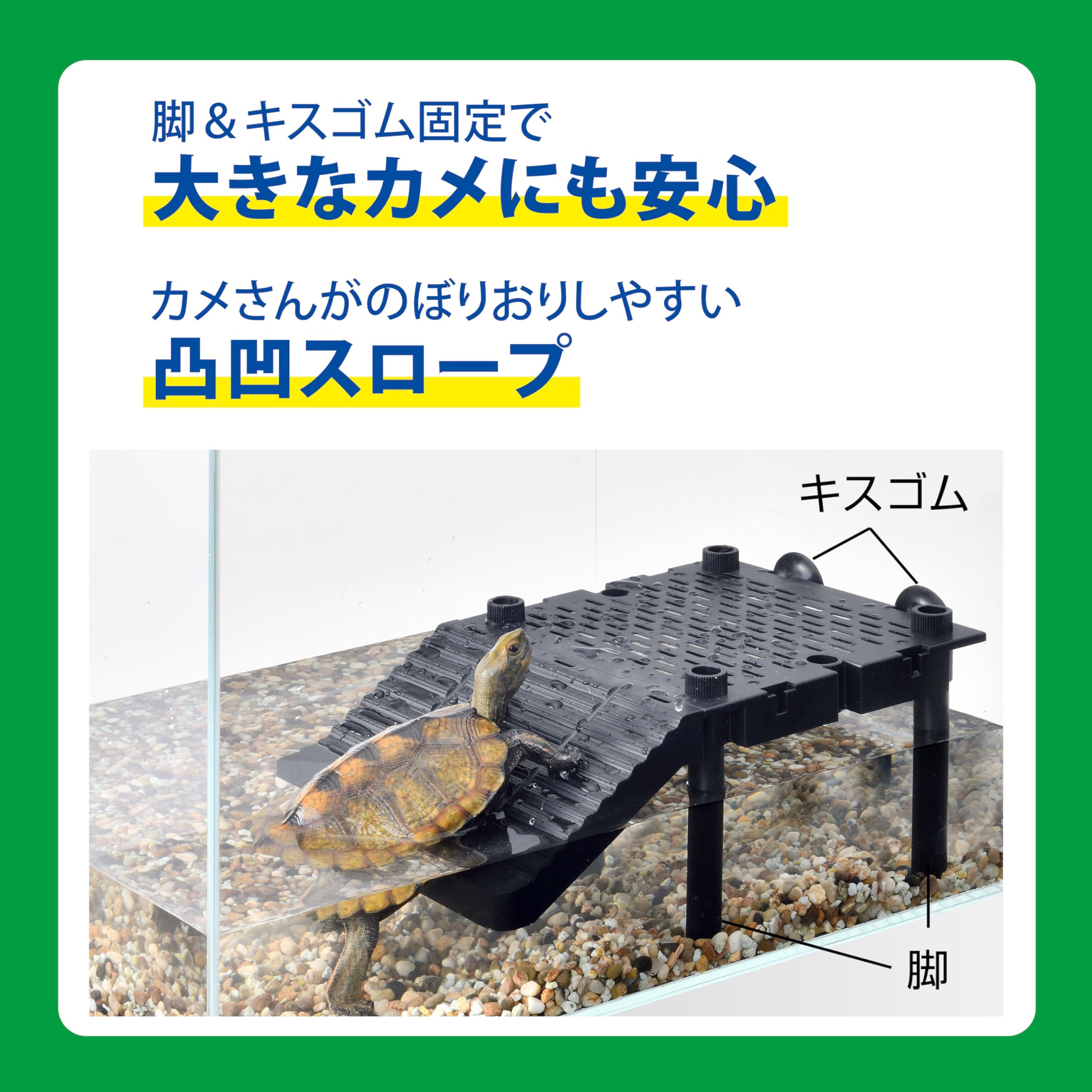 カメハウス専用 楽天市場】新商品GEX カメ元気 カメの島ロフトタイプ : Aquarium Zenith