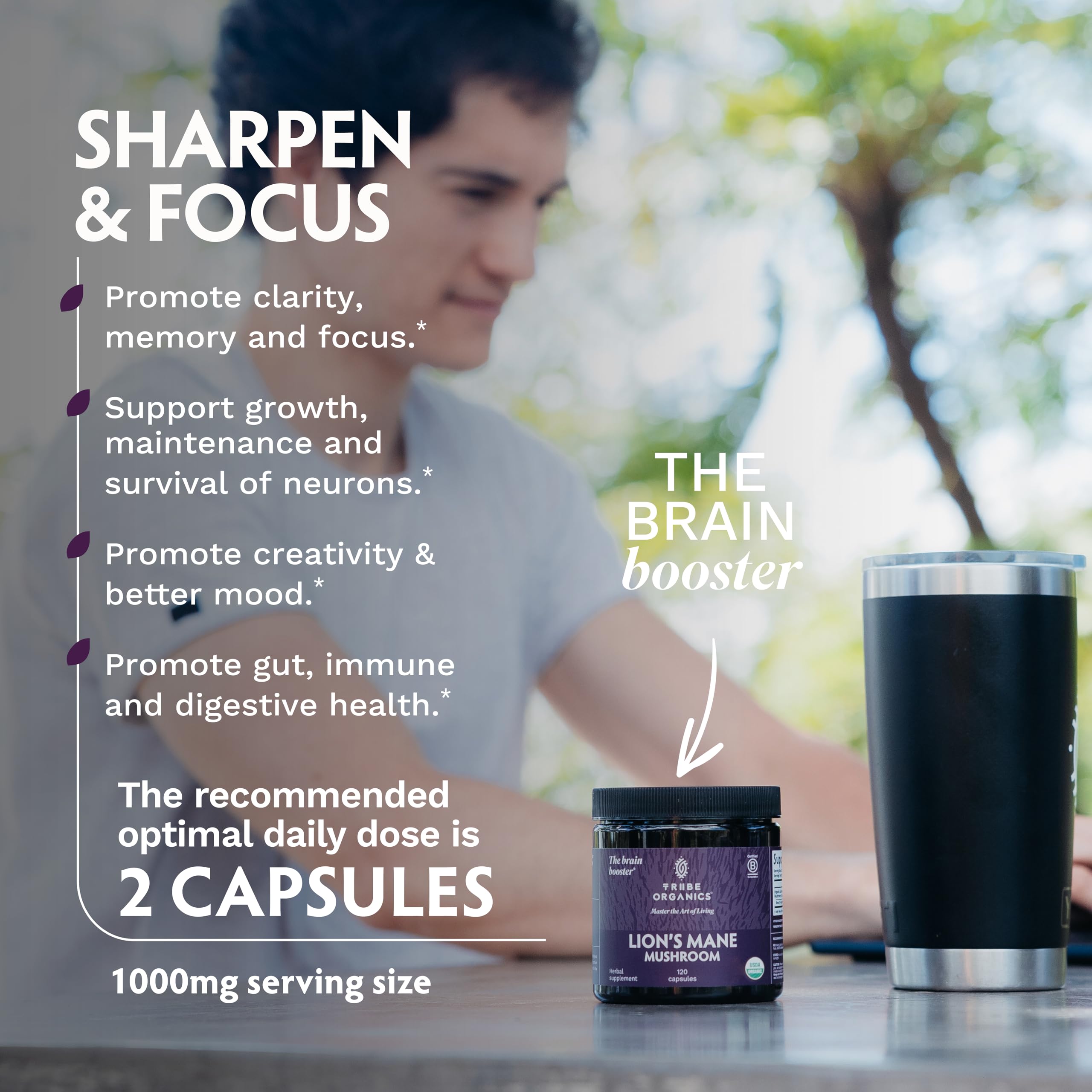 TRIBE ORGANICS Lion's Mane Supplement Capsules, Mushroom Extract, 120ct — Amazon image 4