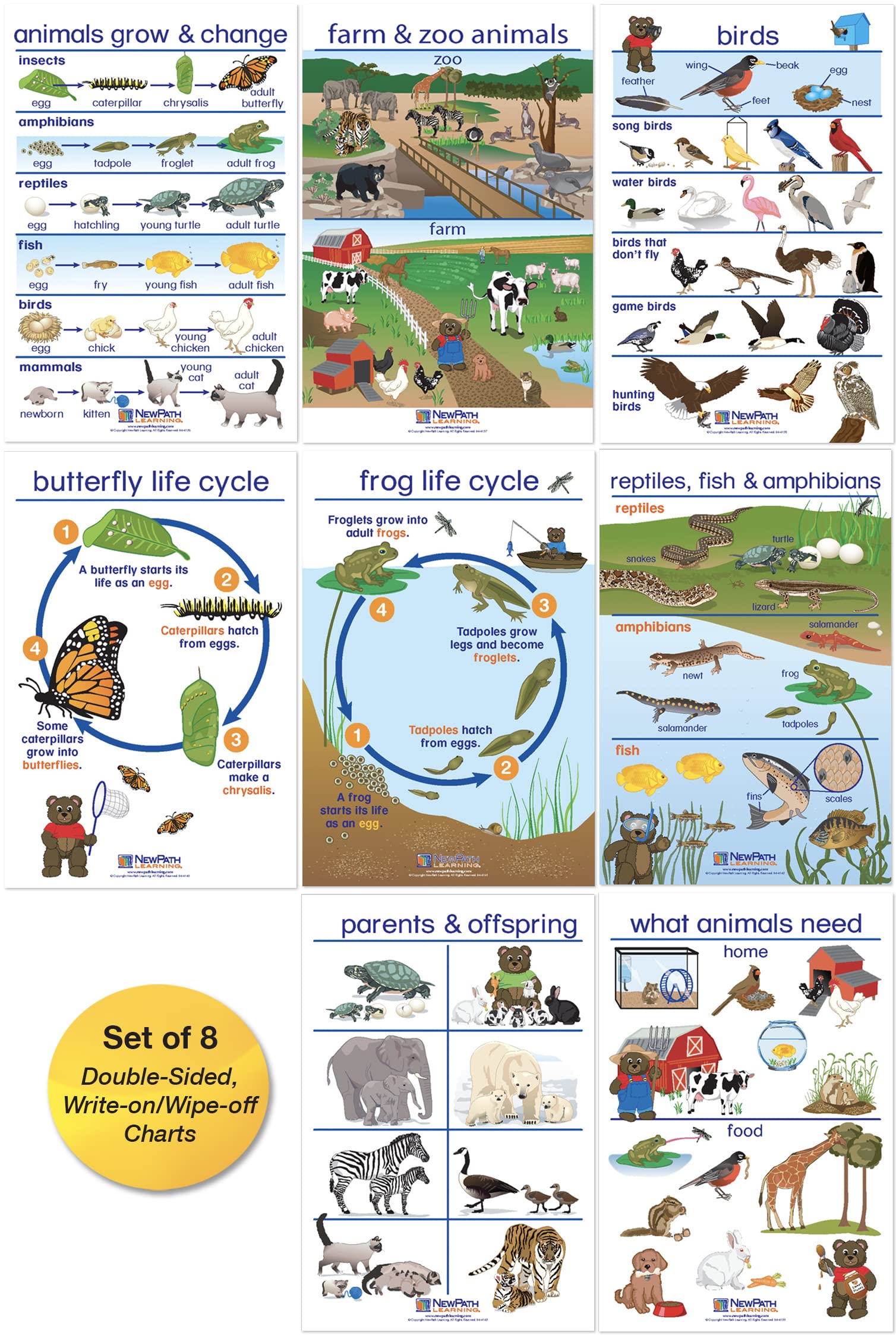 NewPath All About Animals Bulletin Board Charts - English Version, Set/8 - Laminated, Double-Sided, Full-Color, 12" x 18" (94-0222)