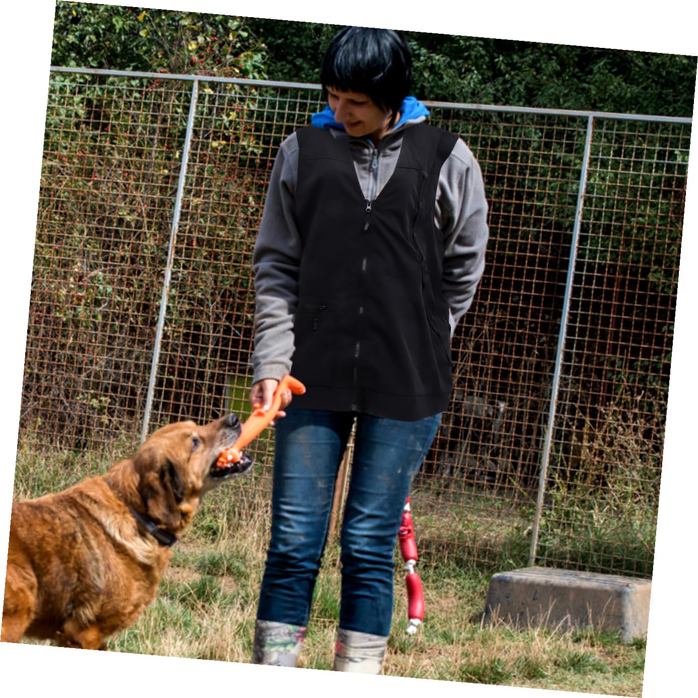 Gilet de Dresseur D’Animaux pour Chien Noir, Polyester Mesh