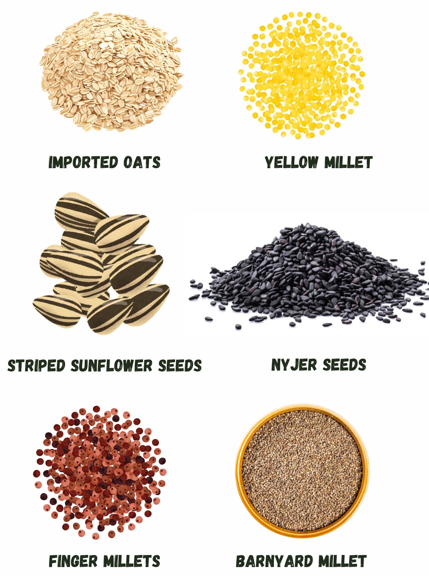 ONELINK MALL Adult Bird Food for Cockatiel & Love Birds Canary Seed, Sunflower Seed, All Stage Bird Food, Natural and Healthy Premium Mix Seeds, Cocktail Love Birds Mix 500 gm 1