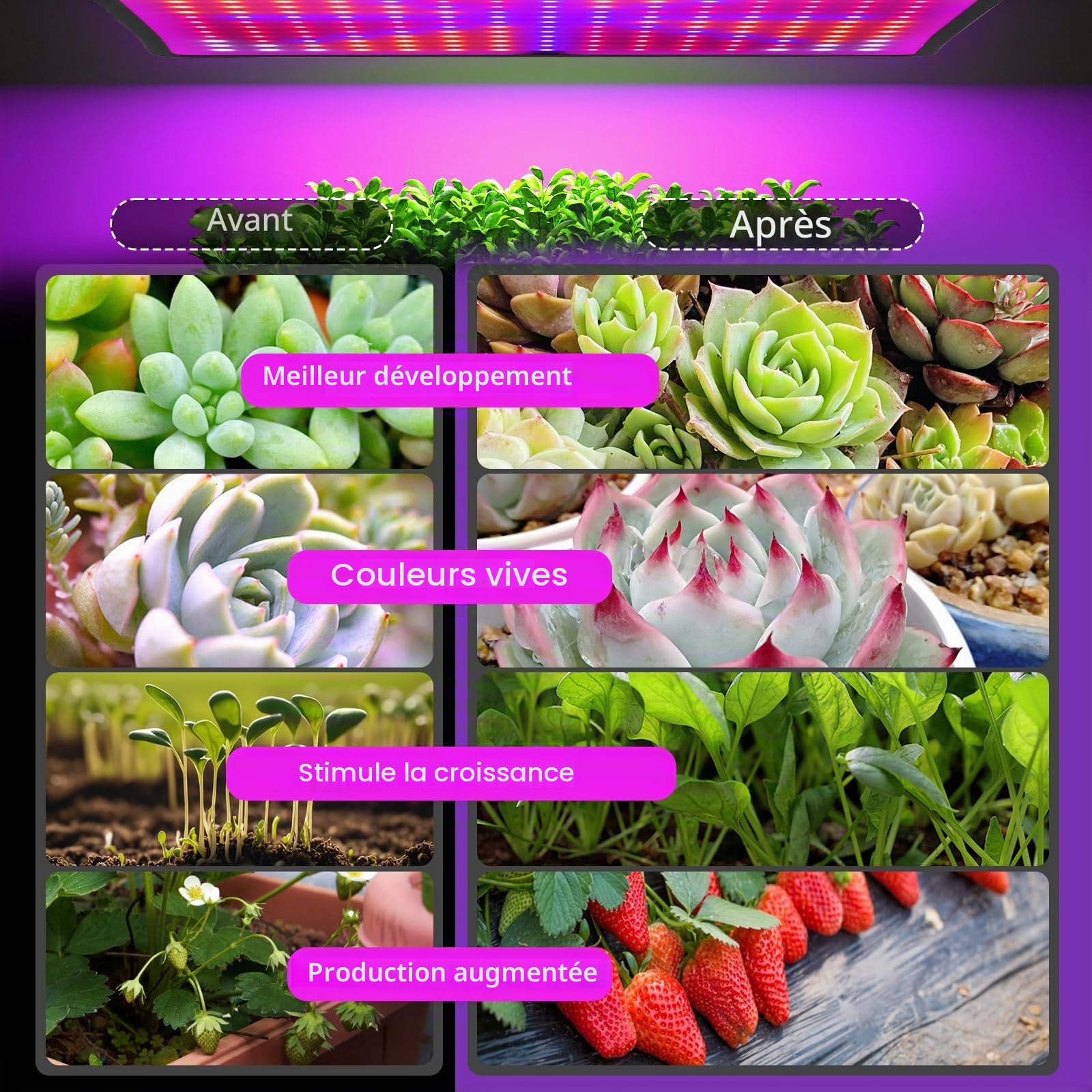 Lampe de culture LED à spectre complet, 225 LEDs, lampe de culture suspendue avec 4 crochets, lampe de croissance pour plantes, légumes, fleurs, 1000W, lumière LED pour plantes[Classe énergétique C]