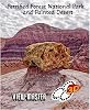 View Master Classic 3Reel Petrified Forest