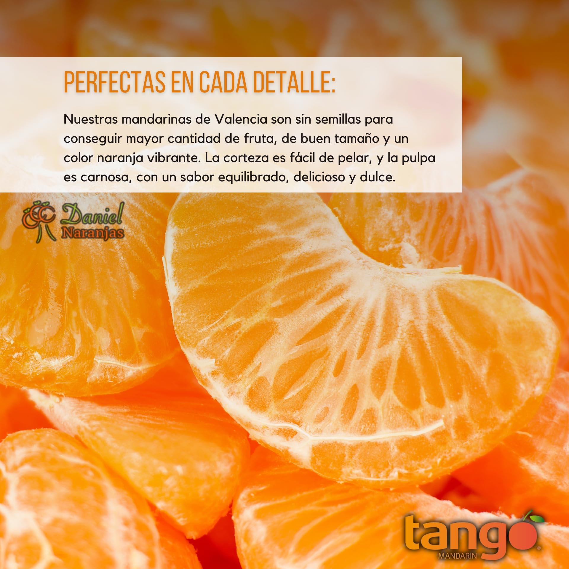 NARANJAS DANIEL | Mandarinas frescas de Valencia | Del árbol a tu mesa | Sabor equilibrado, delicioso y dulce | Sin conservantes ni aditivos (6kg)