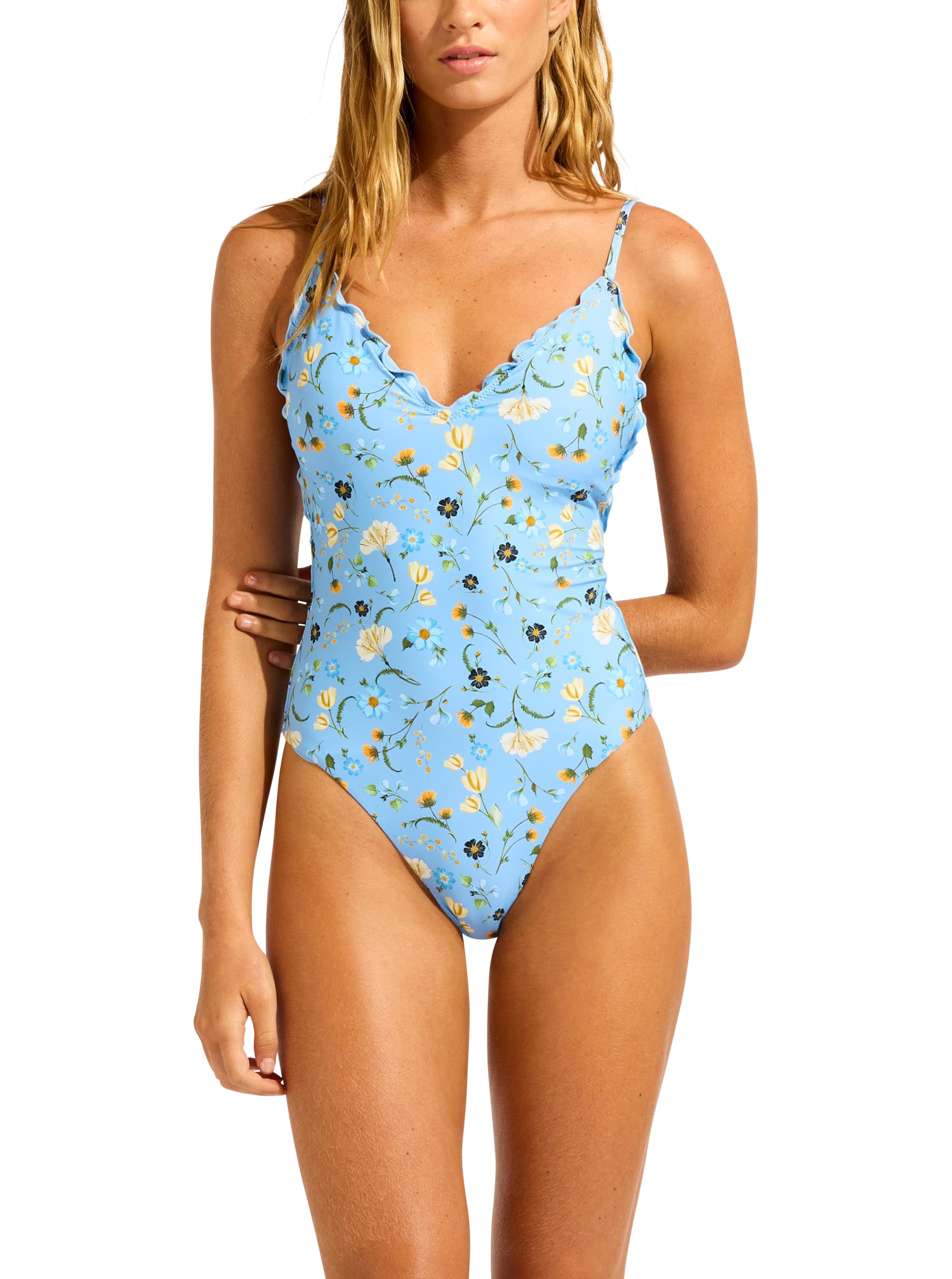 Seafolly Womens V Neck One Piece