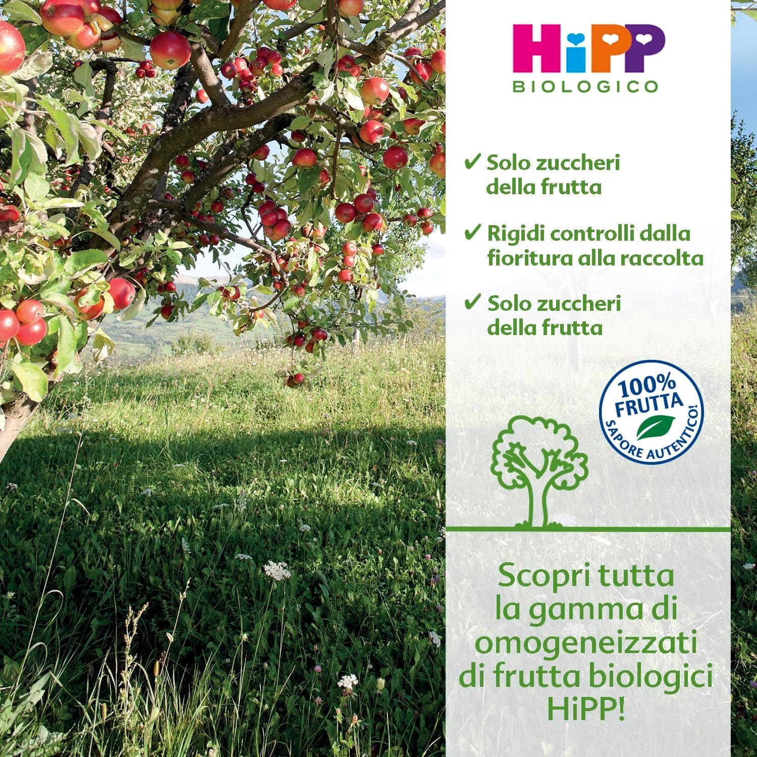 HiPP - Omogeneizzato di Frutta Biologico per Neonati, Gusto Mela e Pera, 100% Frutta, 24 Vasetti da 80 g