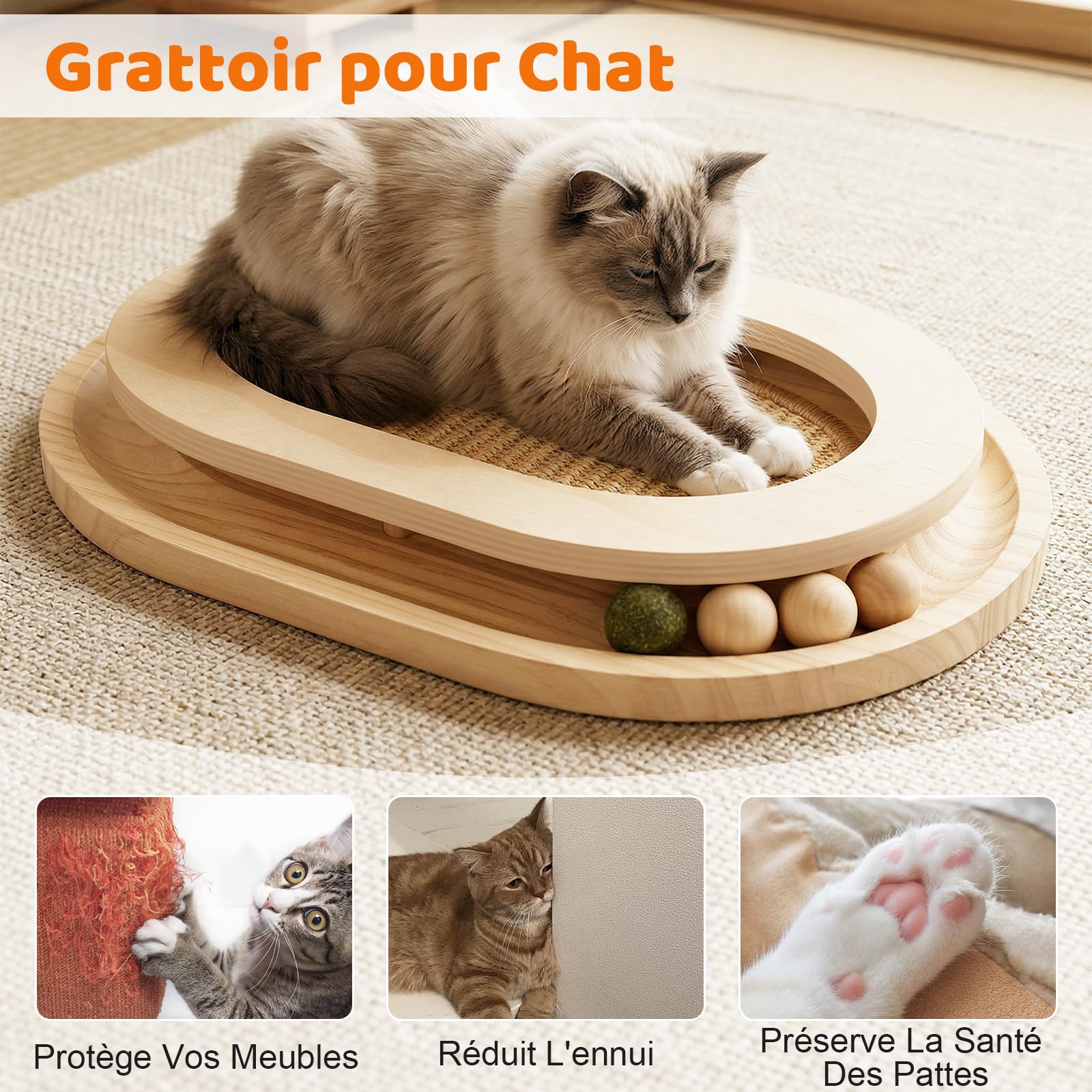 Grattoir pour Chat,Jouet pour Chat 2 en 1 avec Circuit,Tapis à Griffer