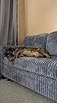 Review Image by Amazon Customer