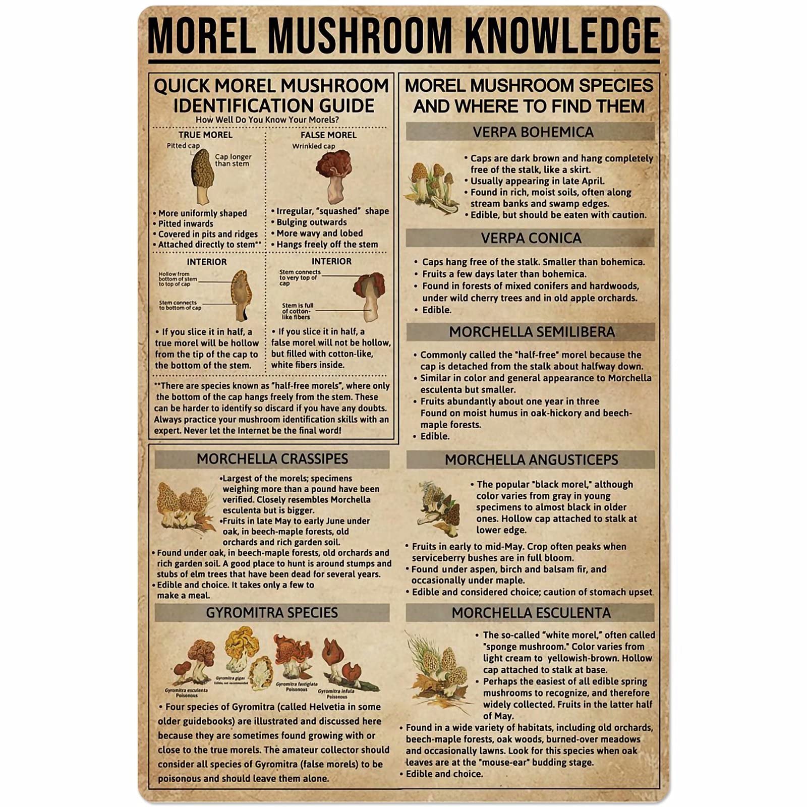 TFZQm Metal Sign Morel Mushroom Knowledge Mushroom Guide Poster Plant Farm Garden Flower Shop Club Wall Decoration Plaque 8x12 Inches