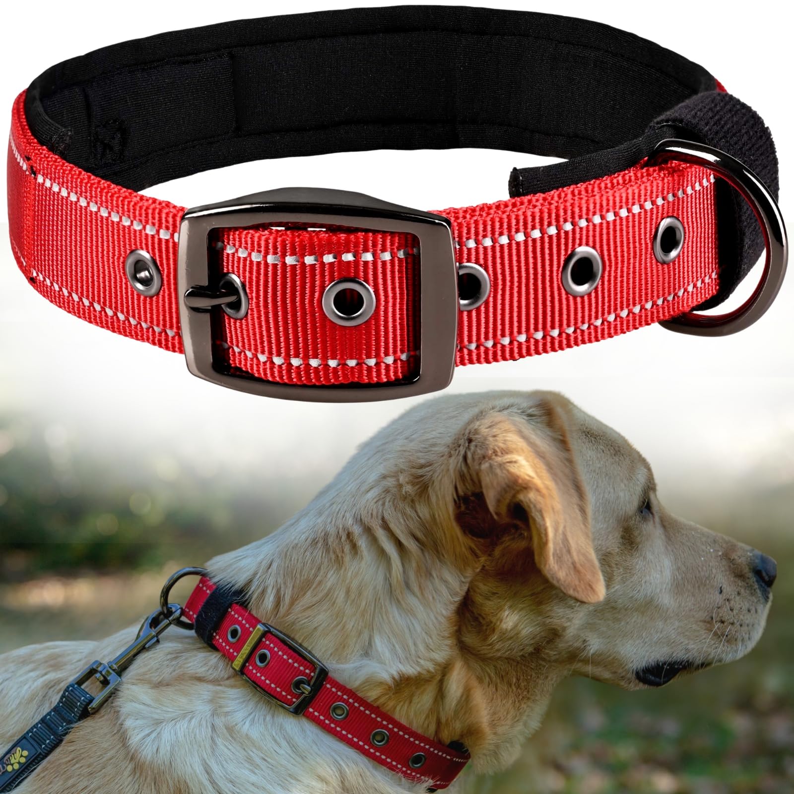 ADITYNA Padded Neoprene Collar