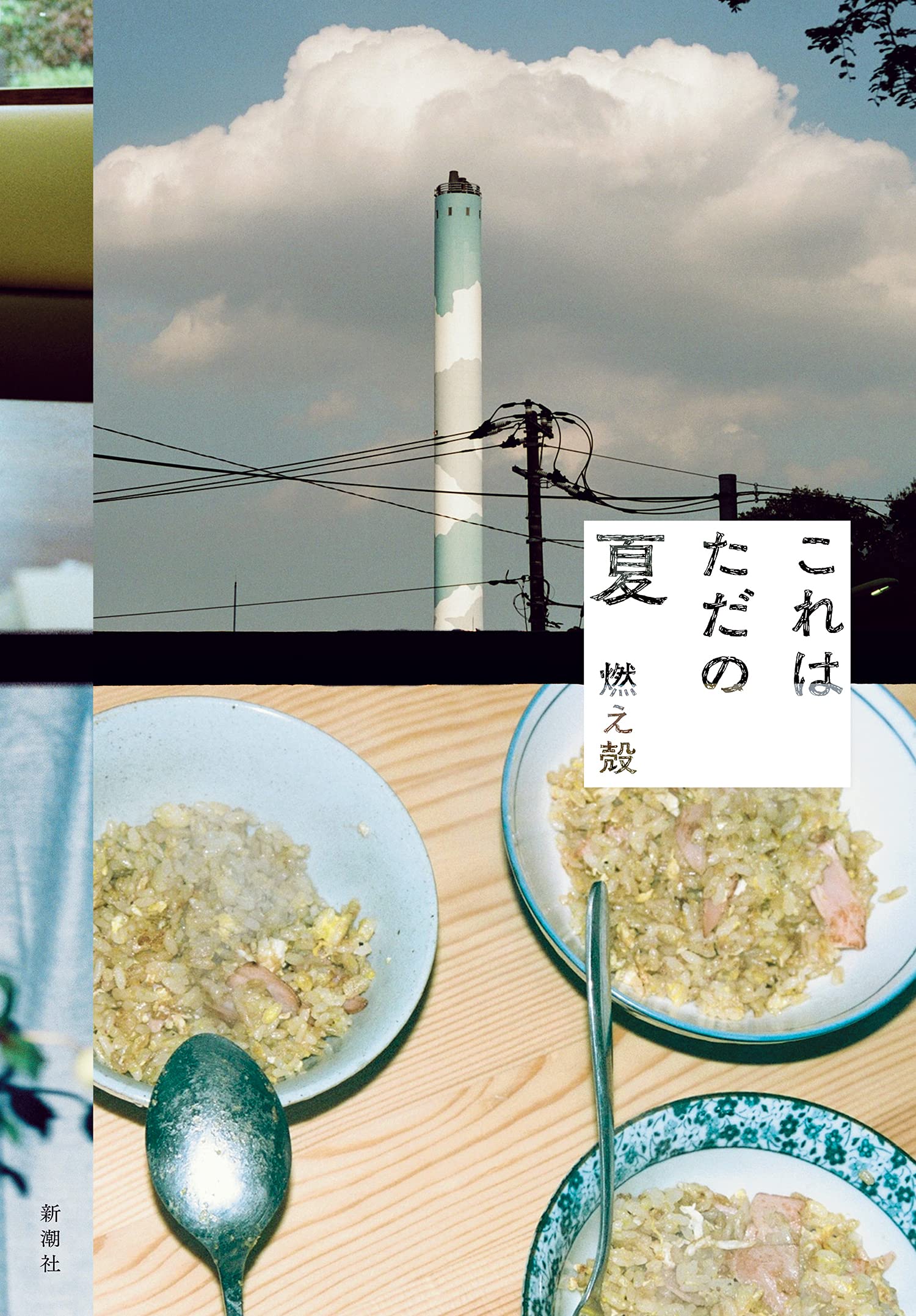 これはただの夏 燃え殻 本 通販 Amazon