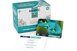 Discover 300 Vibrant Arabic Flashcards to Unveil a World of Language with Briston