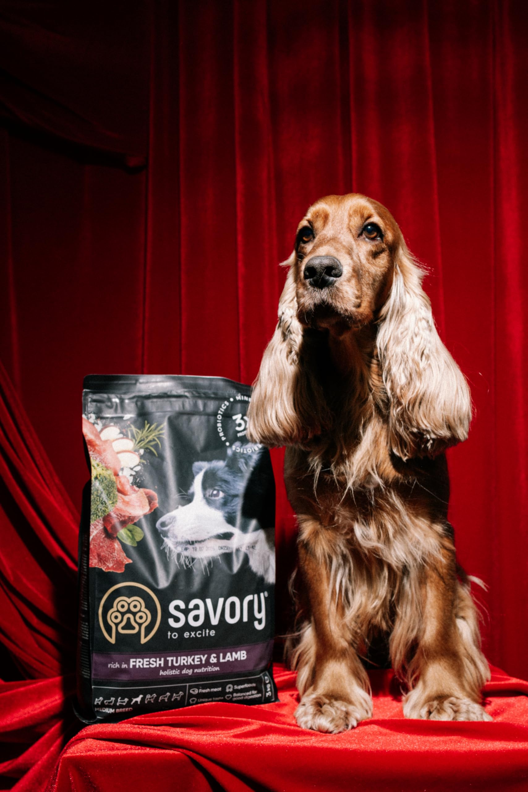 Savory - Cibo secco per cani - Razza media - Tacchino e agnello freschi - a base di carne fresca essiccata, con Vit. A, D3, E, C - (2 x 3 kg)