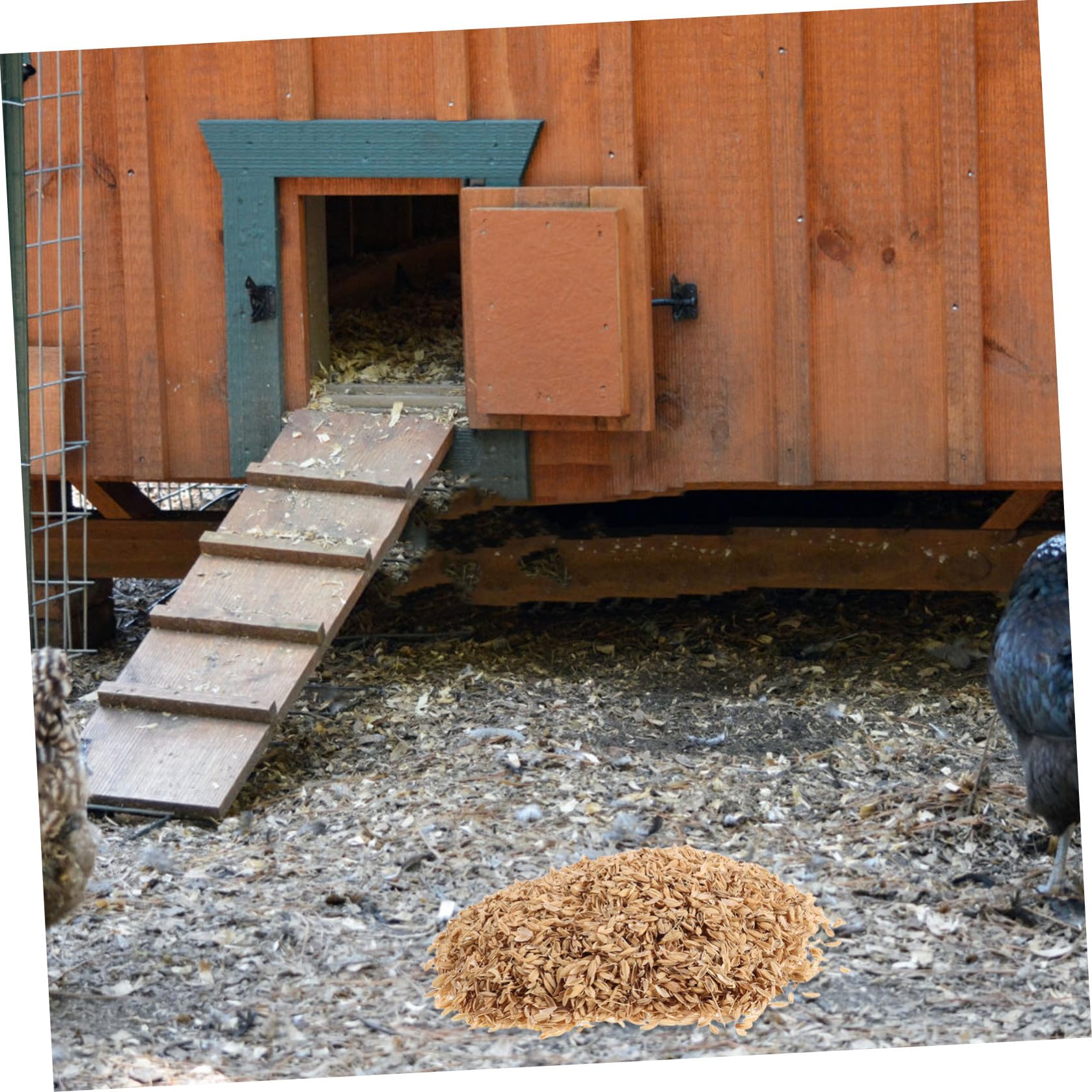 YARNOW Lettiera per Nido Pollo in Lolla di Riso Naturale 1, 5 kg | Materiale Pollaio e Piccoli Uccelli, Uso Agricolo e Miglioramento del Terreno, Formato Pratico