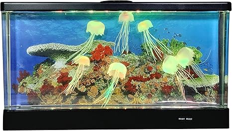 Amazon Co Jp イシグロ アクアリウムクラゲ ワイド W450 H245 D70mm ブラック ホーム キッチン Amazon Co Jp イシグロ アクアリウムクラゲ ワイド W450 H245 D70mm ブラック ホーム キッチン