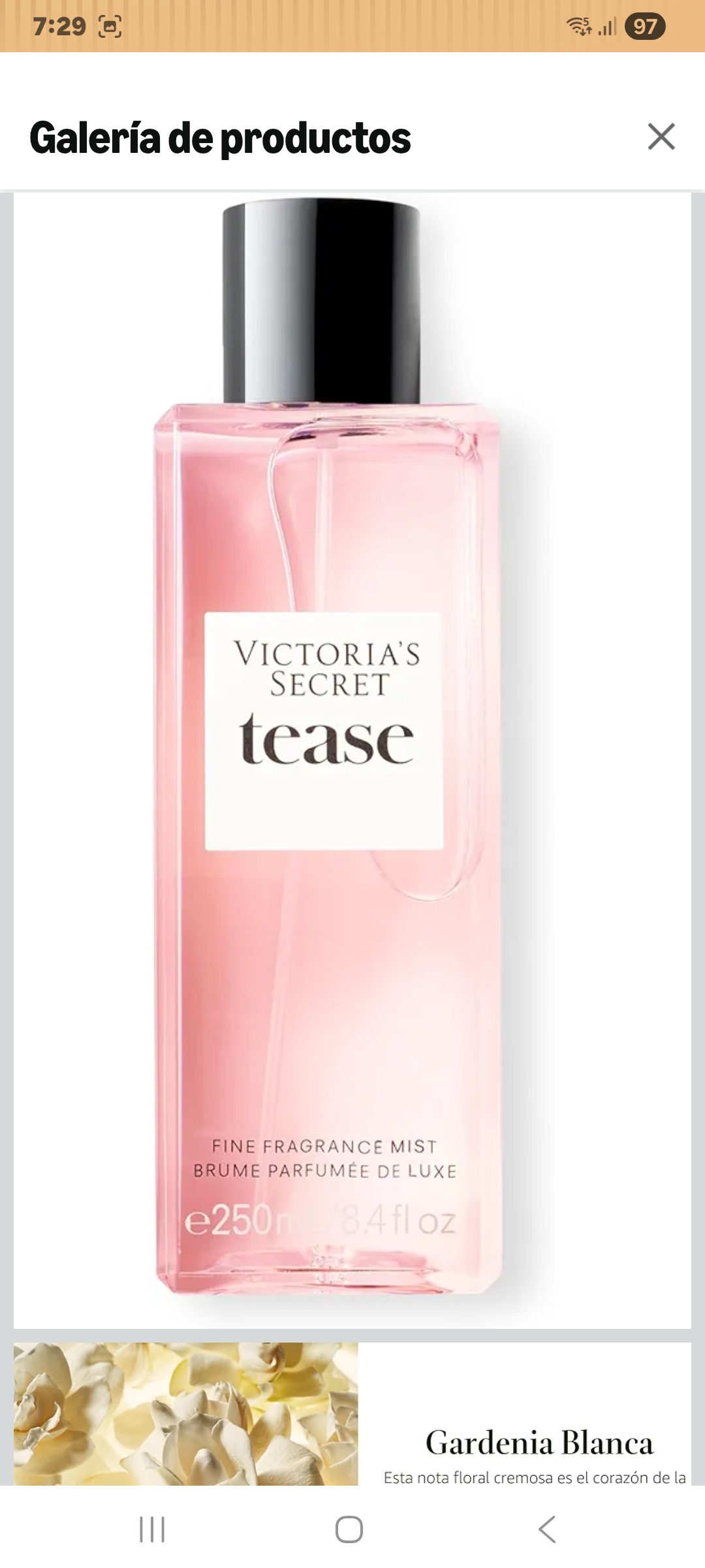 Amazon.com: Victoria's Secret: Daring Fine Fragrance